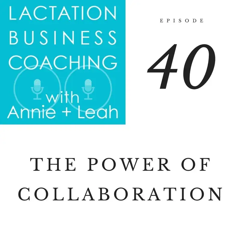 Ep 40 | The Power of Collaboration with Nikki & Nikki