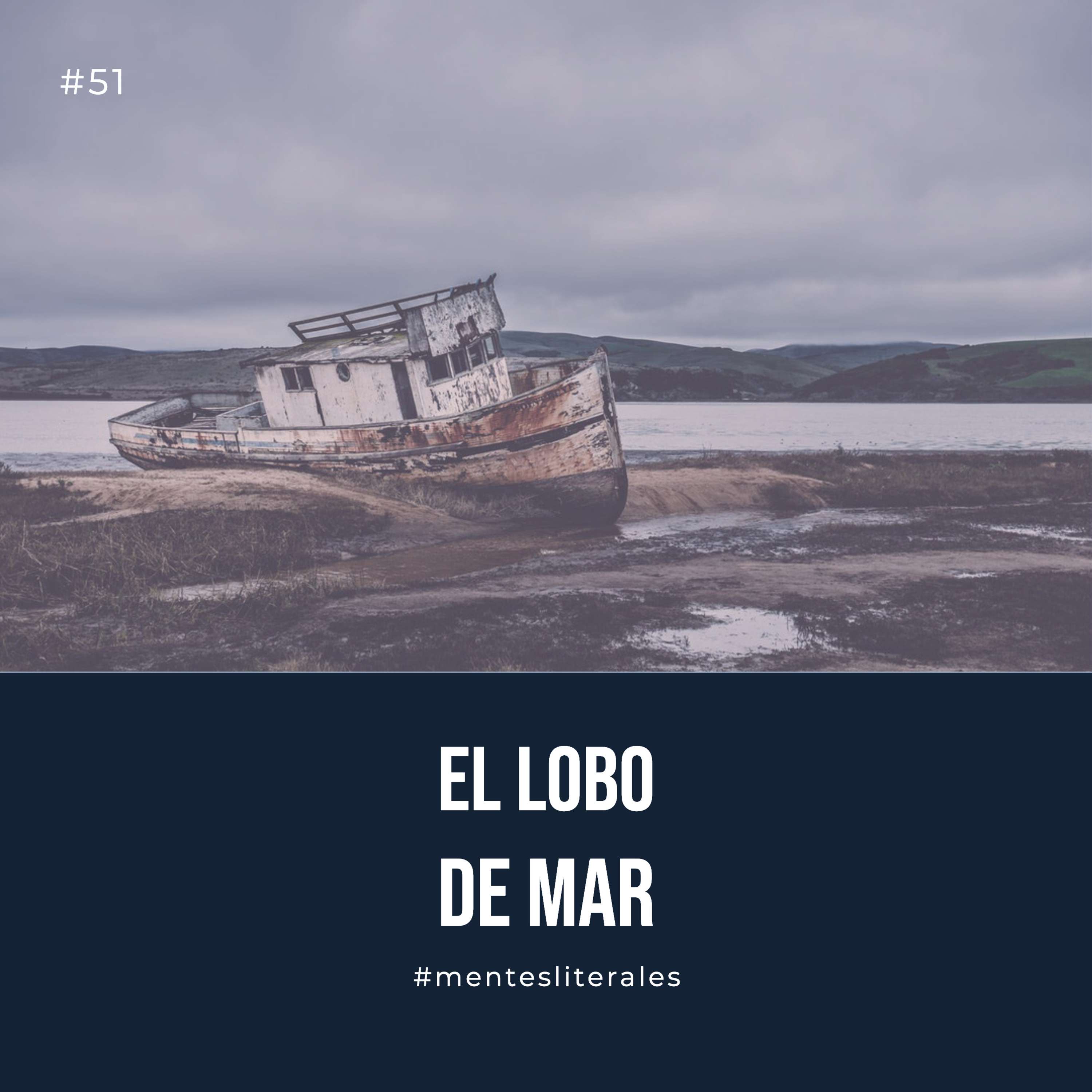 MentesLiterales - Recomendaciones y Reseñas de Libros