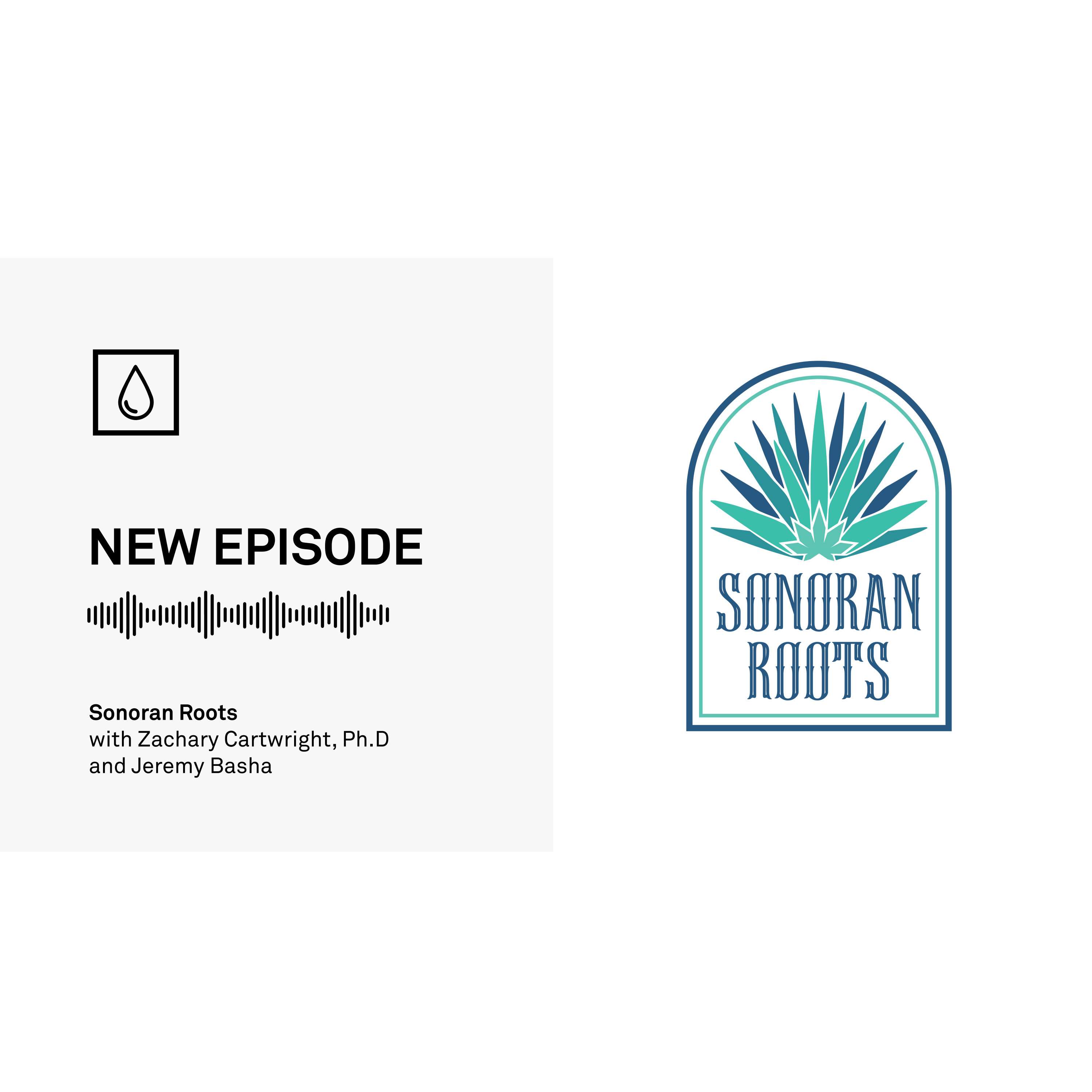 Episode 28: Sonoran Roots