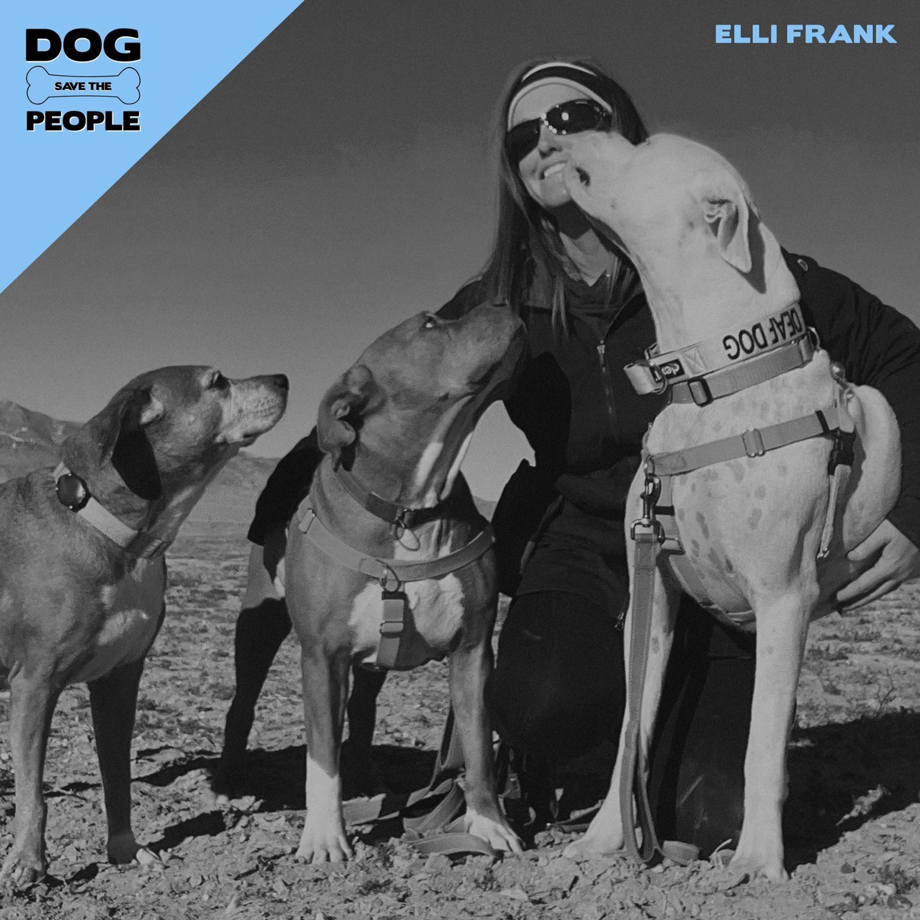 Sense of Home w/ Elli Frank