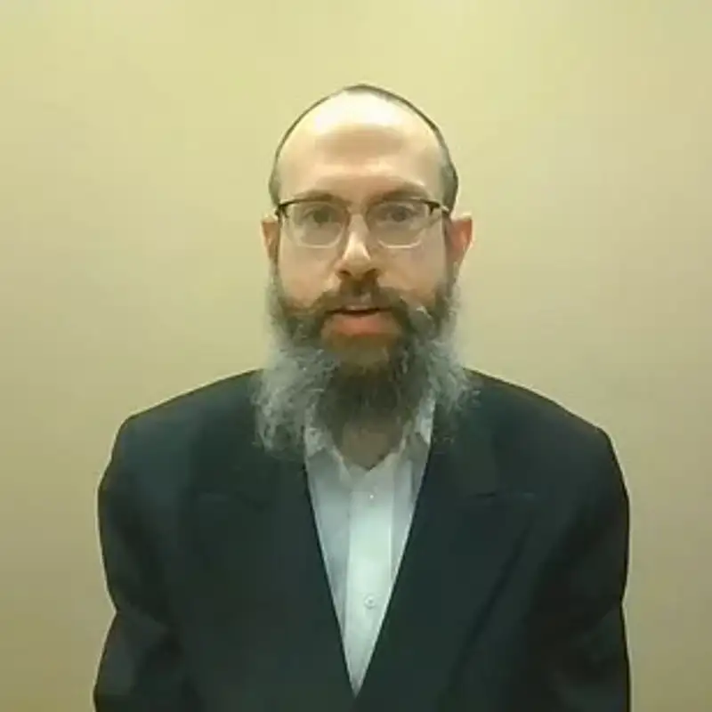 Rabbi Shmuel Bluming, In-Depth Shiur - Sicha 4