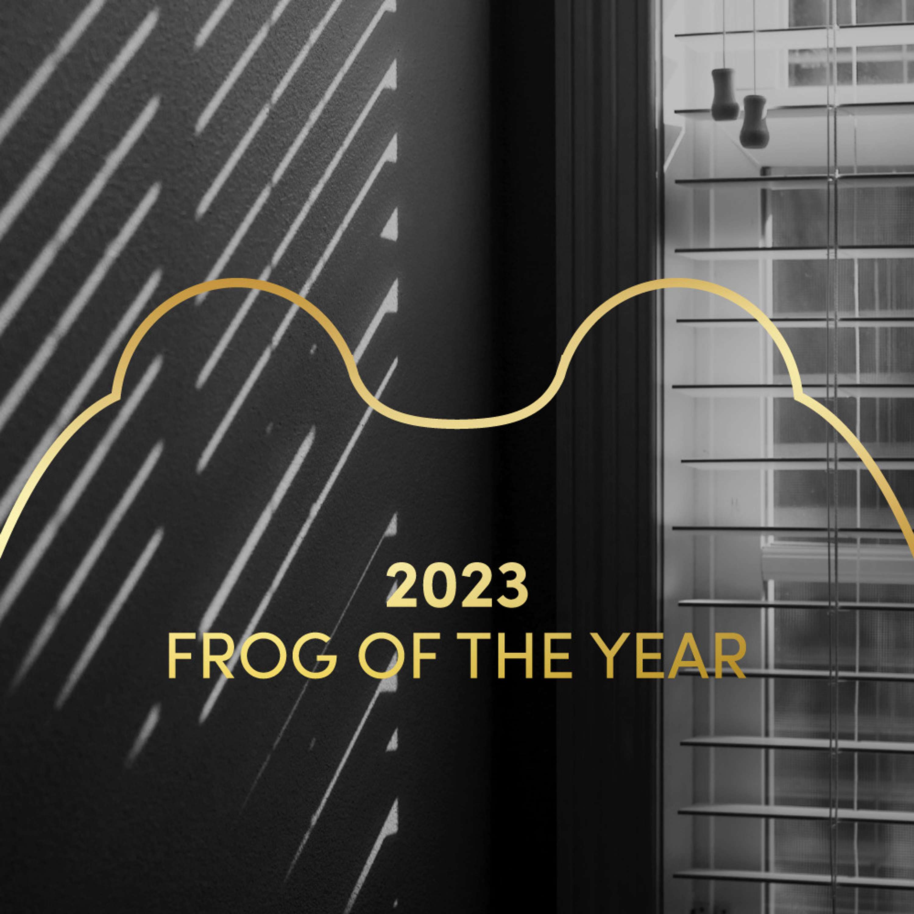 Frog of the Year | 2023