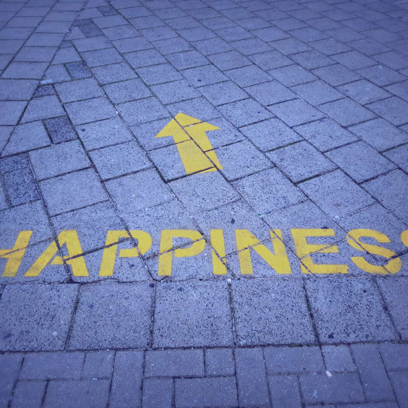 #575 | The Science of Happiness: Can It Be Measured? #575 | The Science of Happiness: Can It Be Measured?
