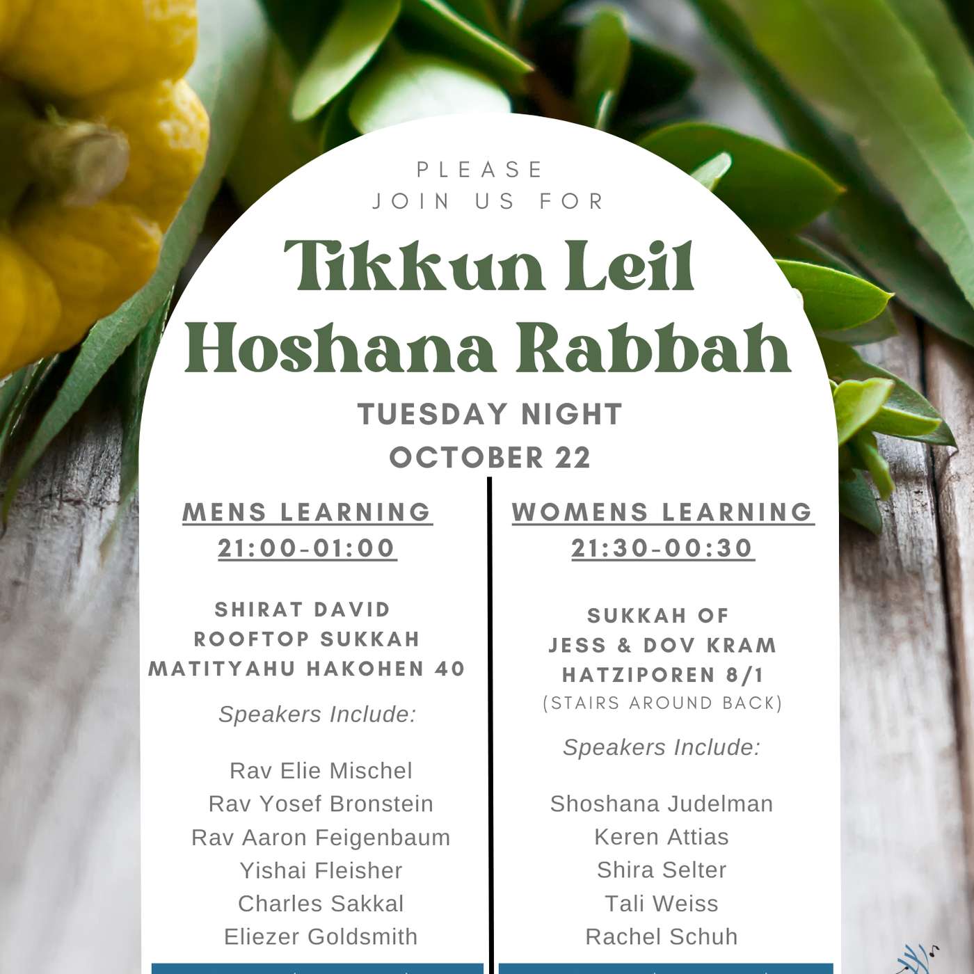 Hoshana Rabbah - Rav Elie Mischel - David HaMelech’s Guide to Fighting a War