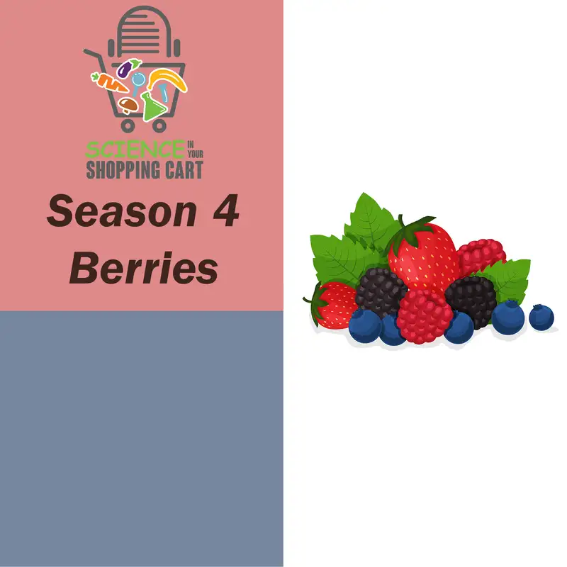 Season 4: Berries