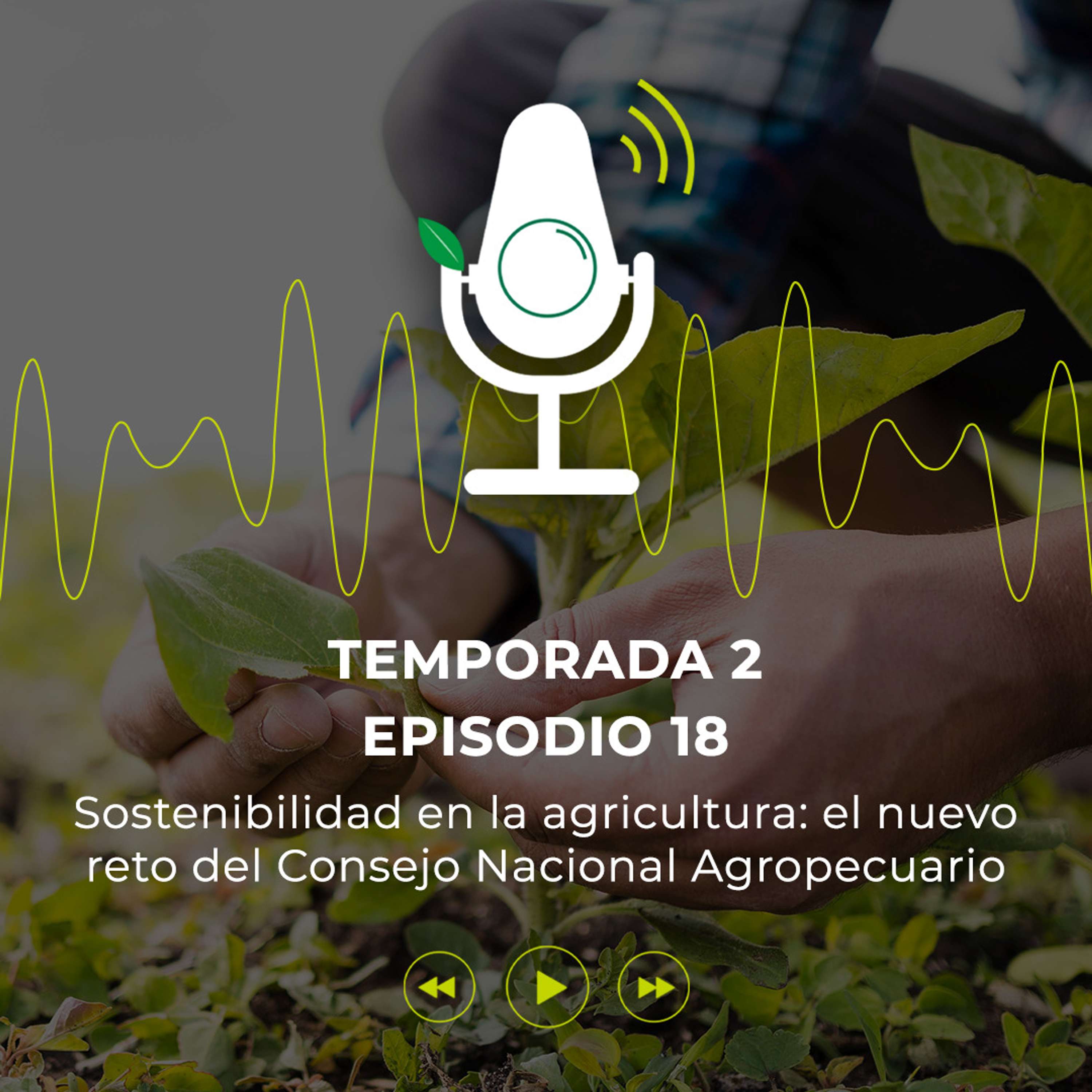 Avo Sostenible