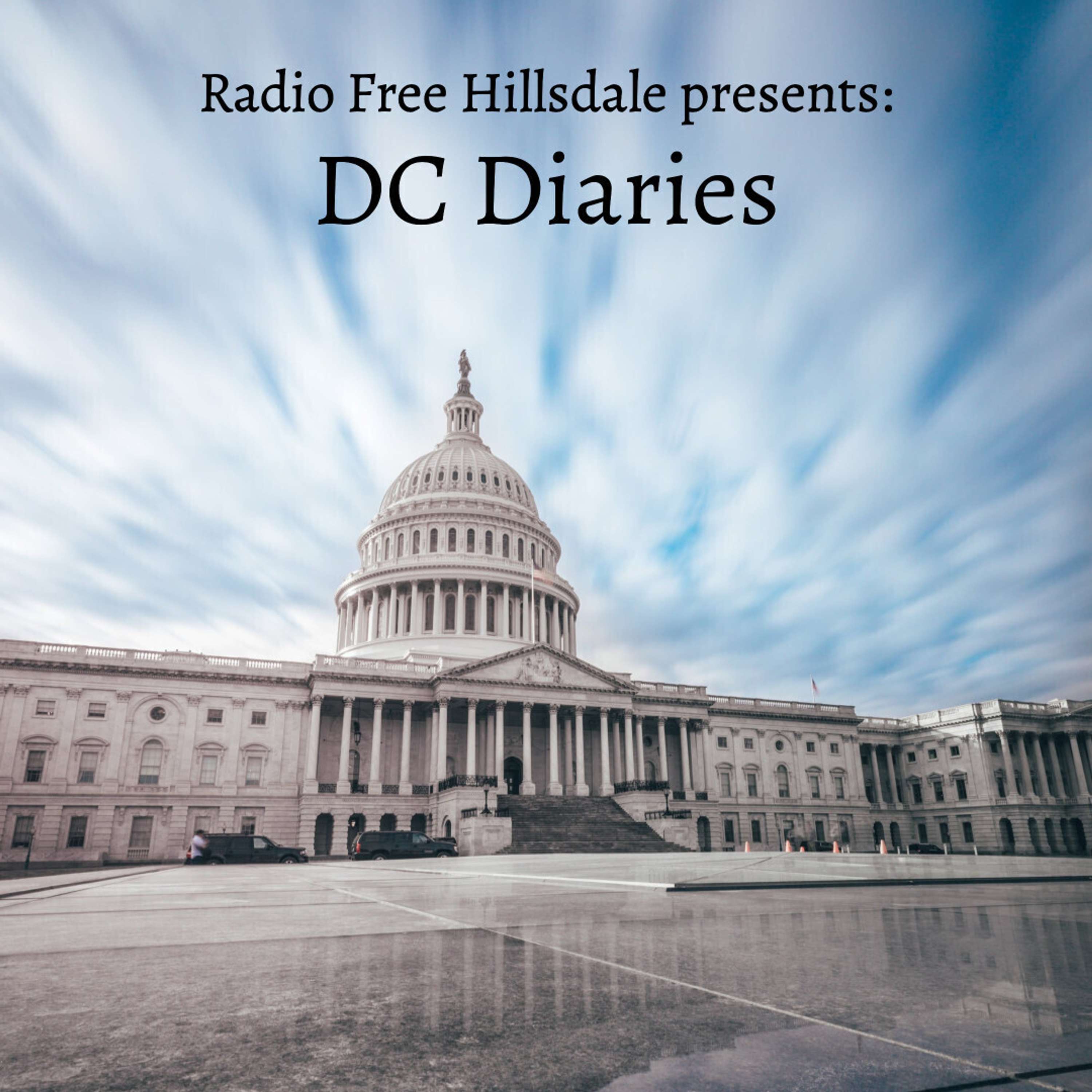 DC Diaries: Olivia Hajicek - November 14, 2022