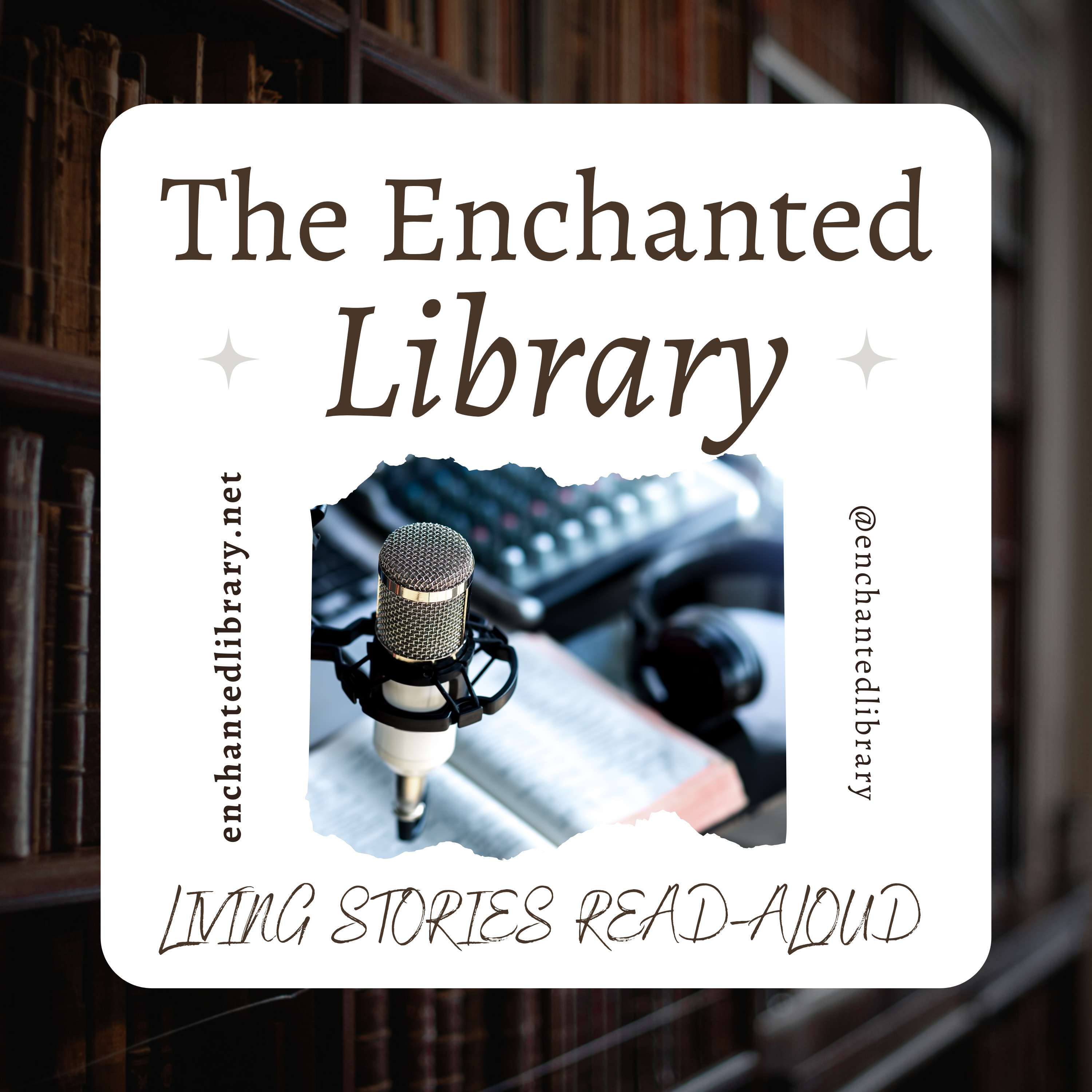 The Enchanted Library