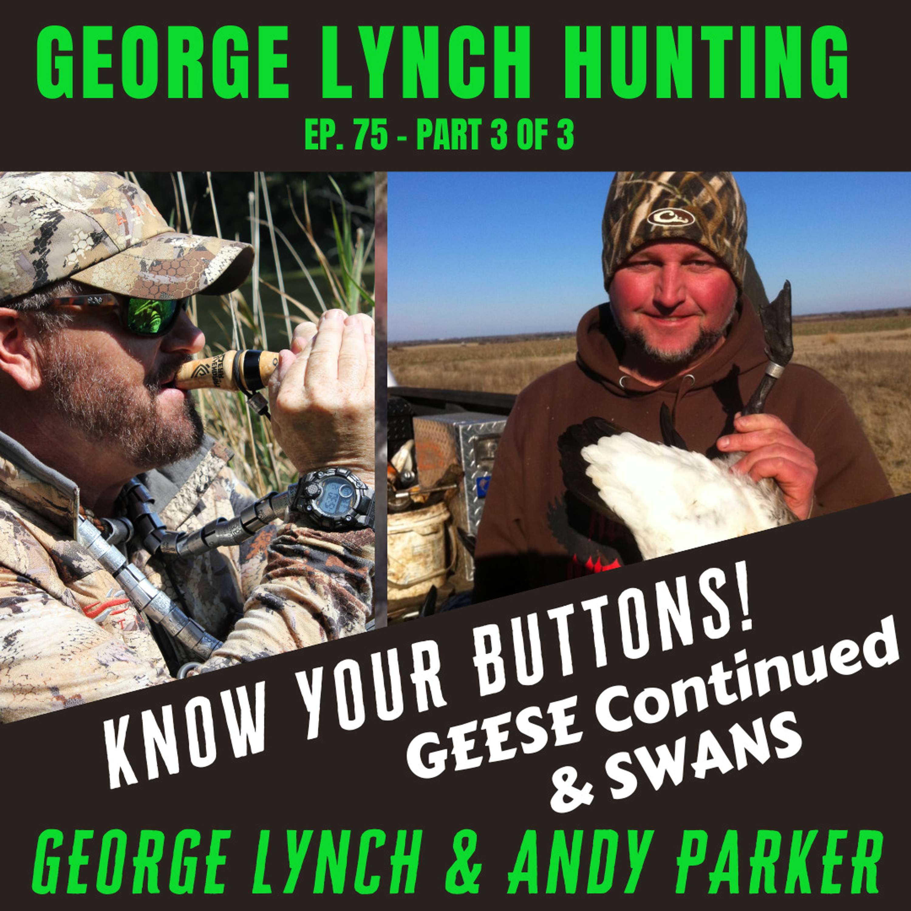 KNOW YOUR BUTTONS! SWAN & last part of GOOSE CALLING!  3 of 3 with Andy Parker