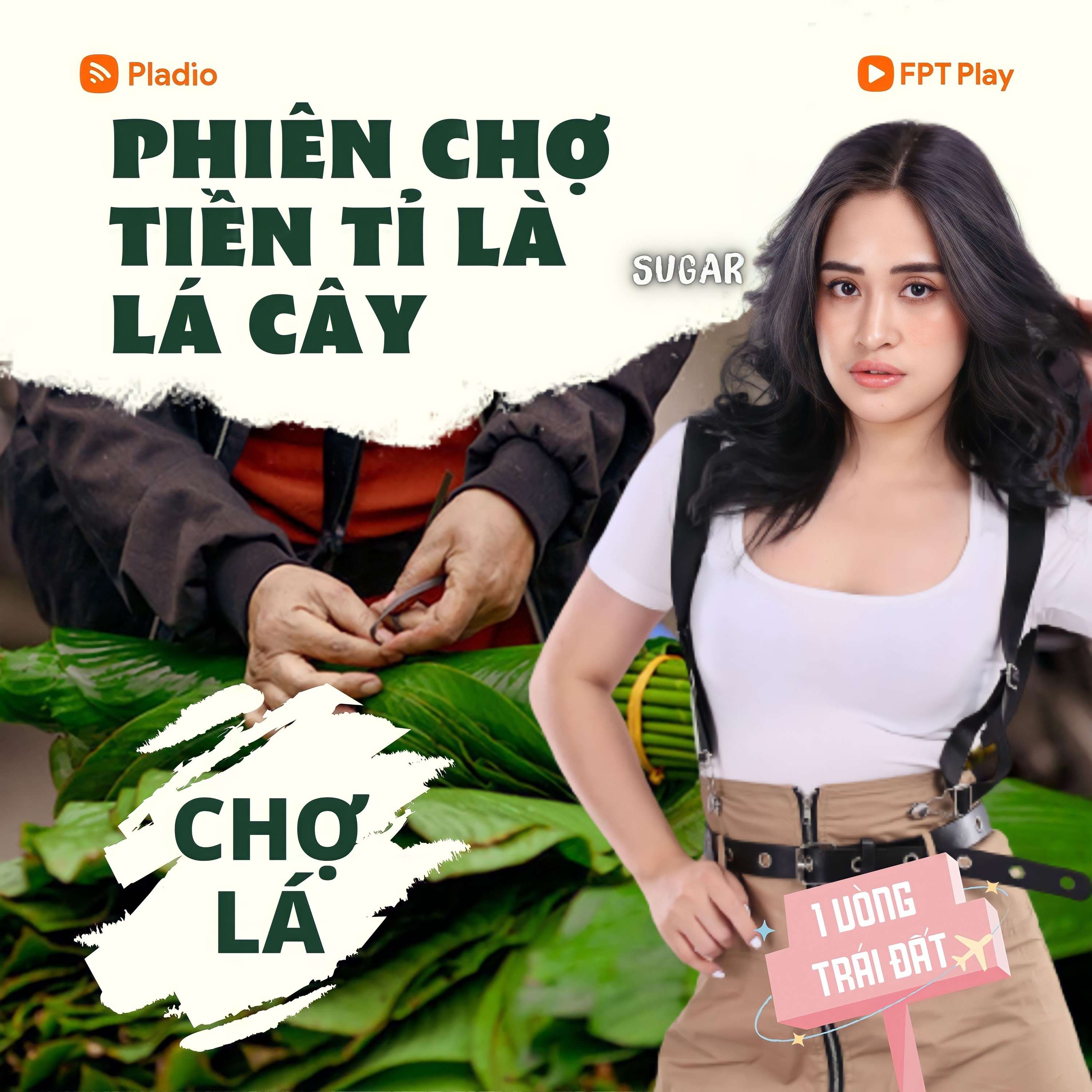 MỘT VÒNG TRÁI ĐẤT