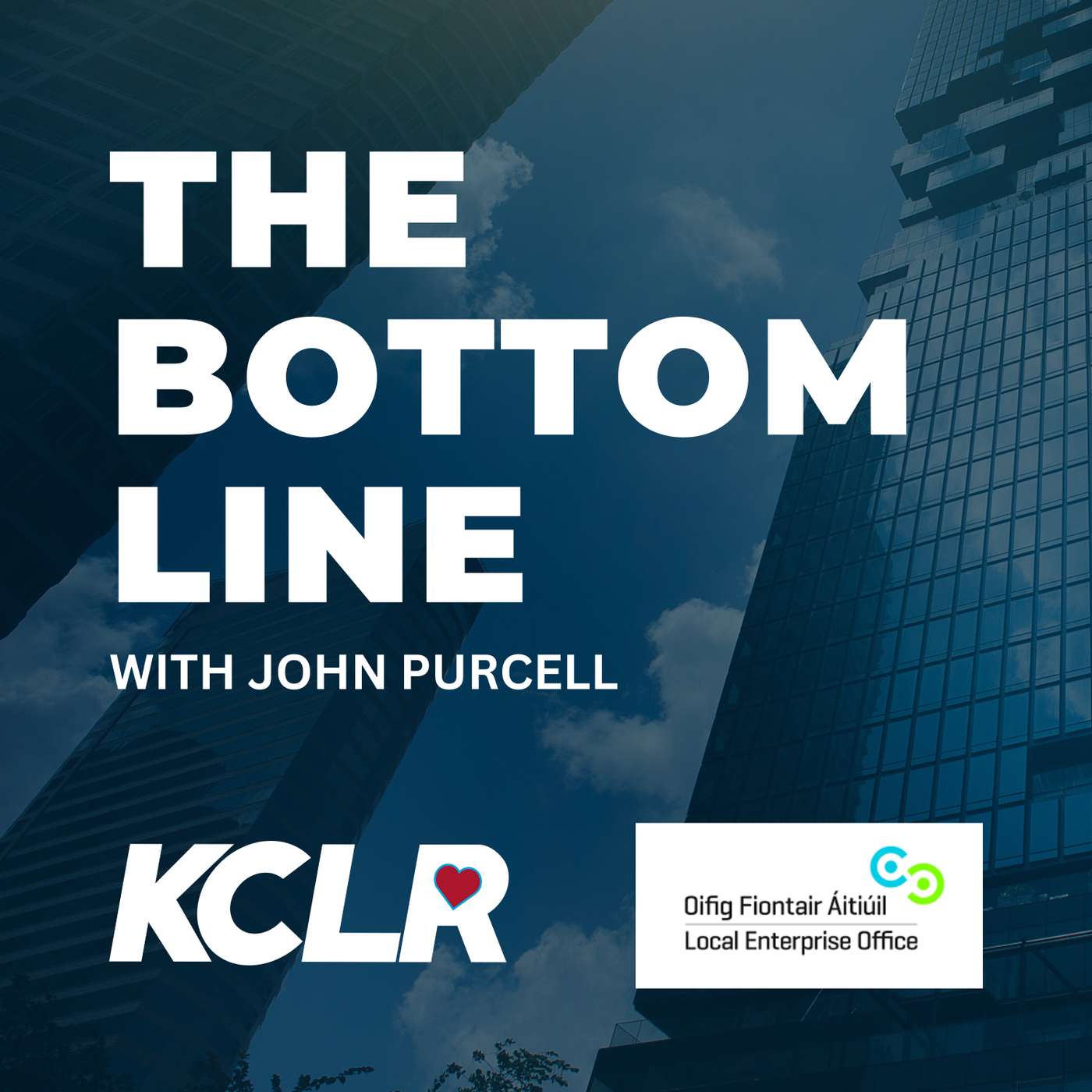 #141: The Bottom Line: Jobs Announcement for Carlow Based Company; Enterprise Offices Carlow & Kilkenny on Jobs Created in 2022; Business News from the Week & Climate Change & Your Business. episode artwork