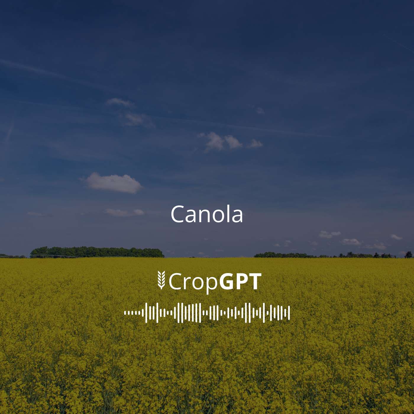 CropGPT - Podcast for Commodities
