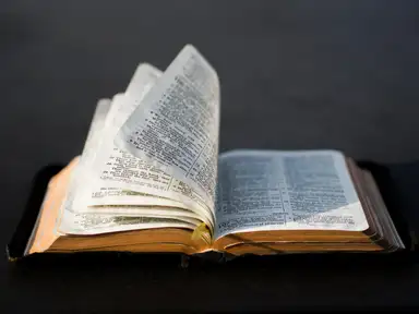 How to Read Scripture with Most Spiritual Profit