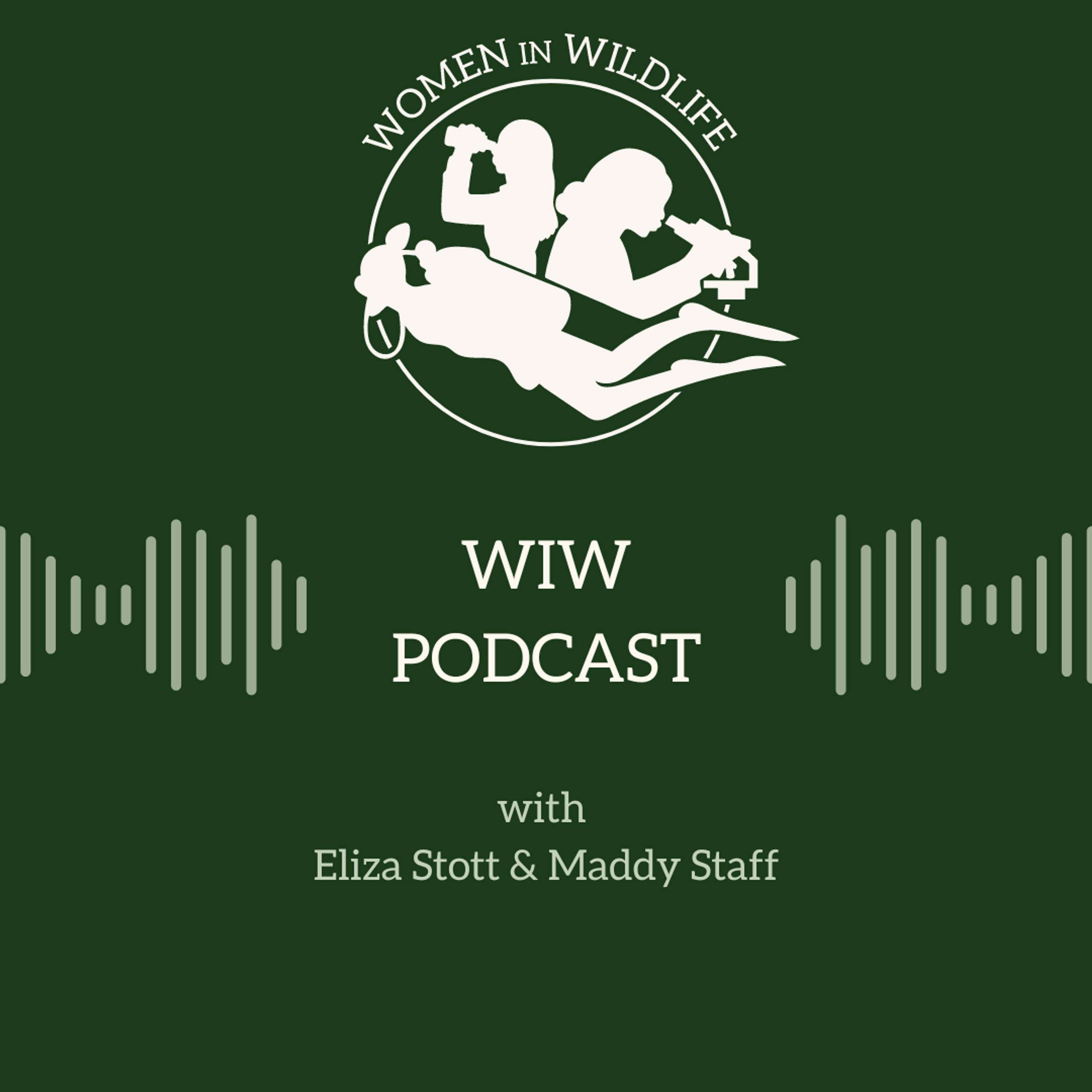 Episode 2: Utilising science in the illegal wildlife trade, reproductive marine biology, and how to succeed in wildlife conservation with Dr Phoebe Meagher