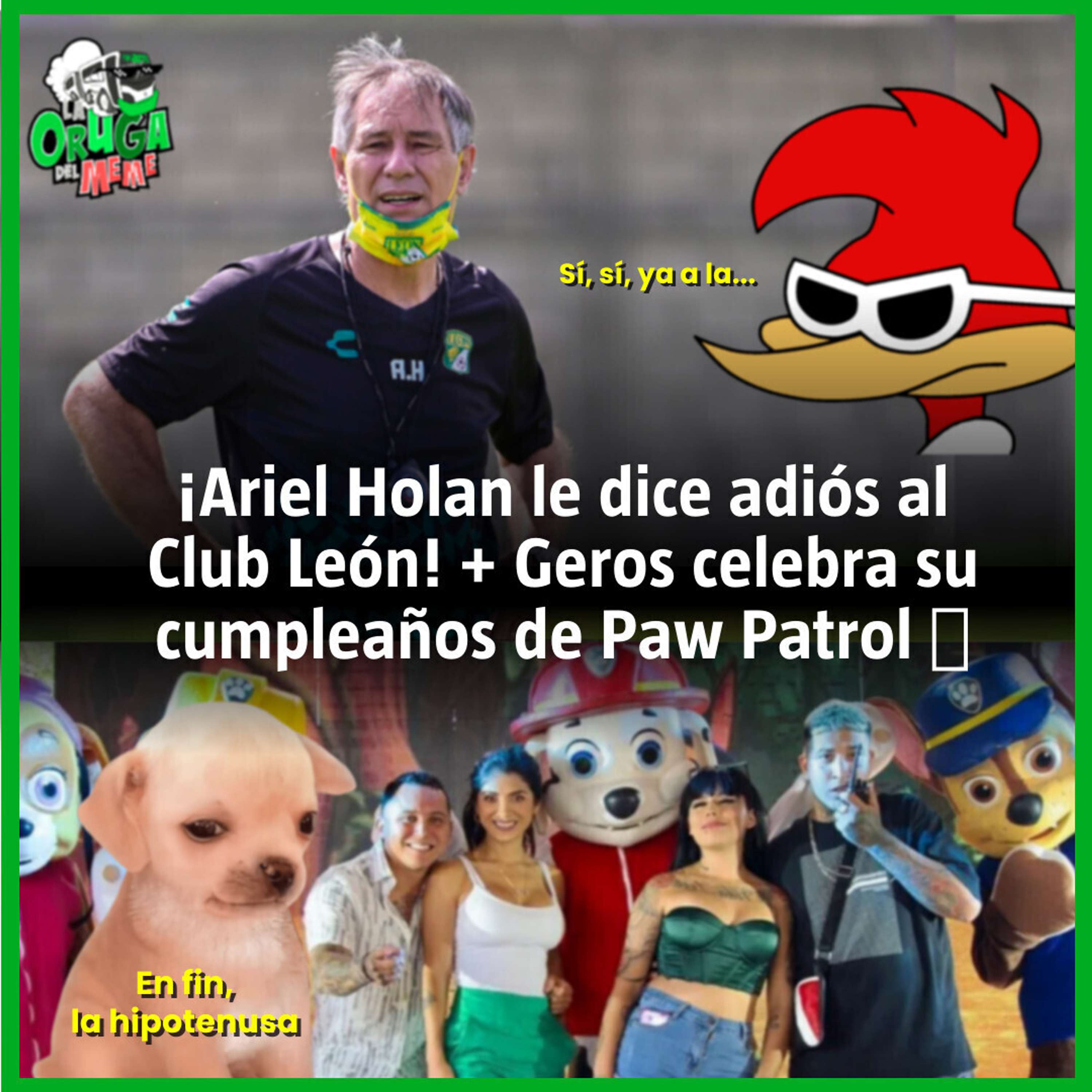 La Oruga del Meme