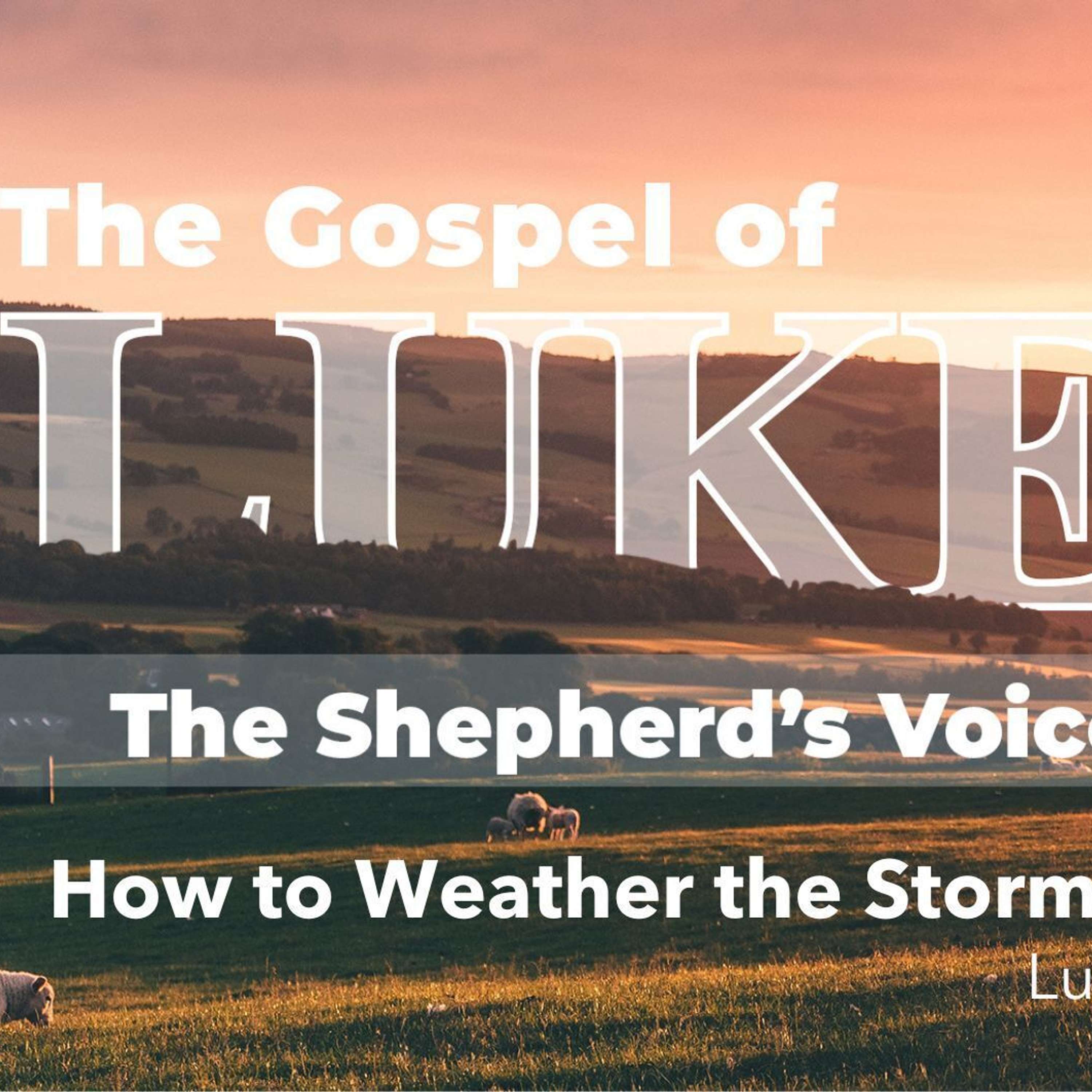 How to Weather the Storms of Life