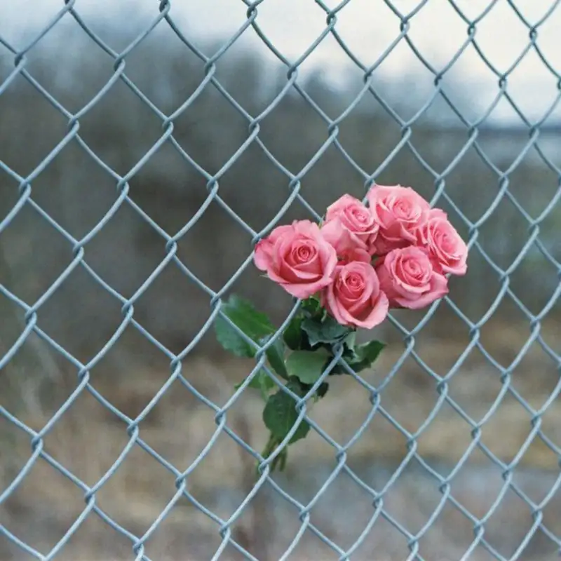 069