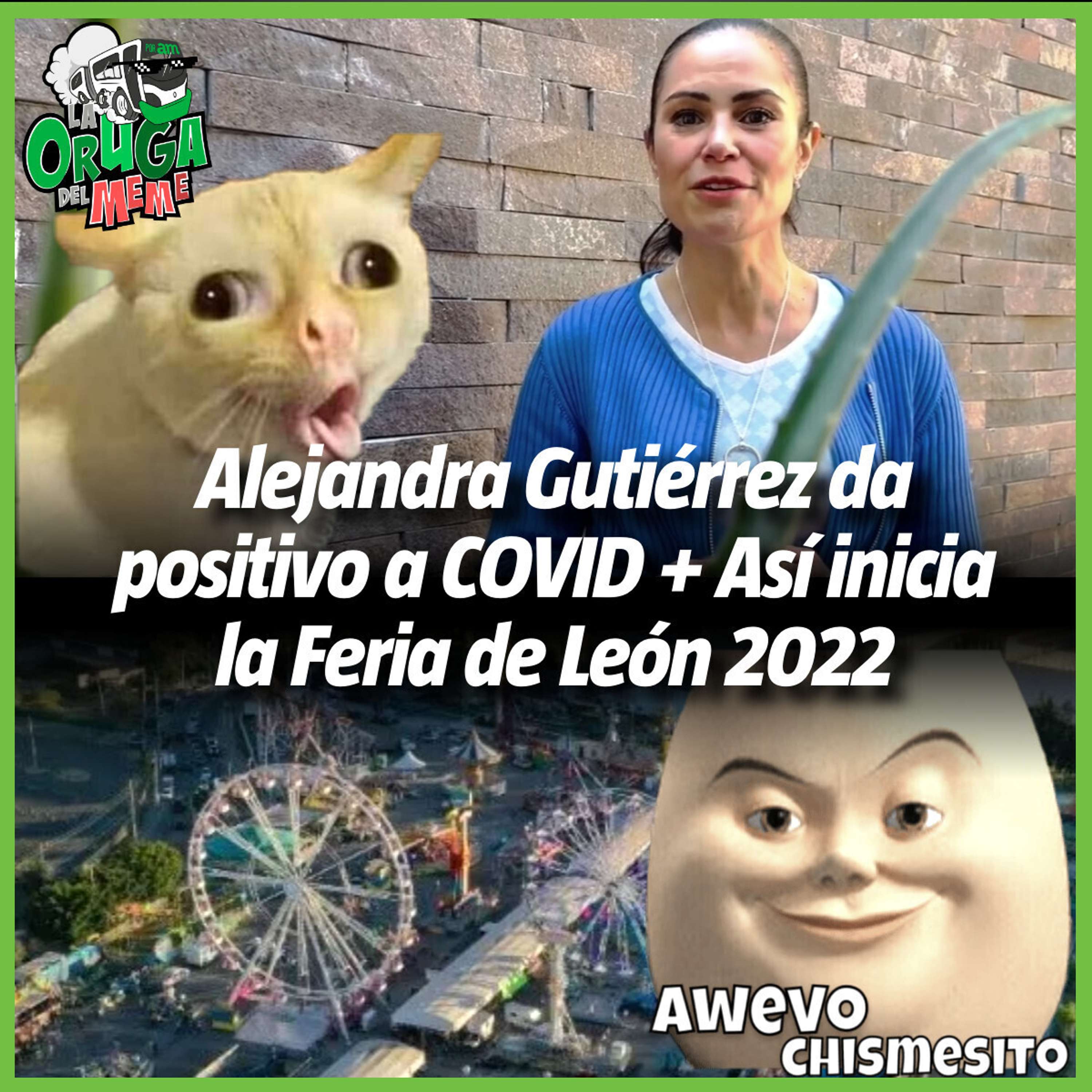 La Oruga del Meme