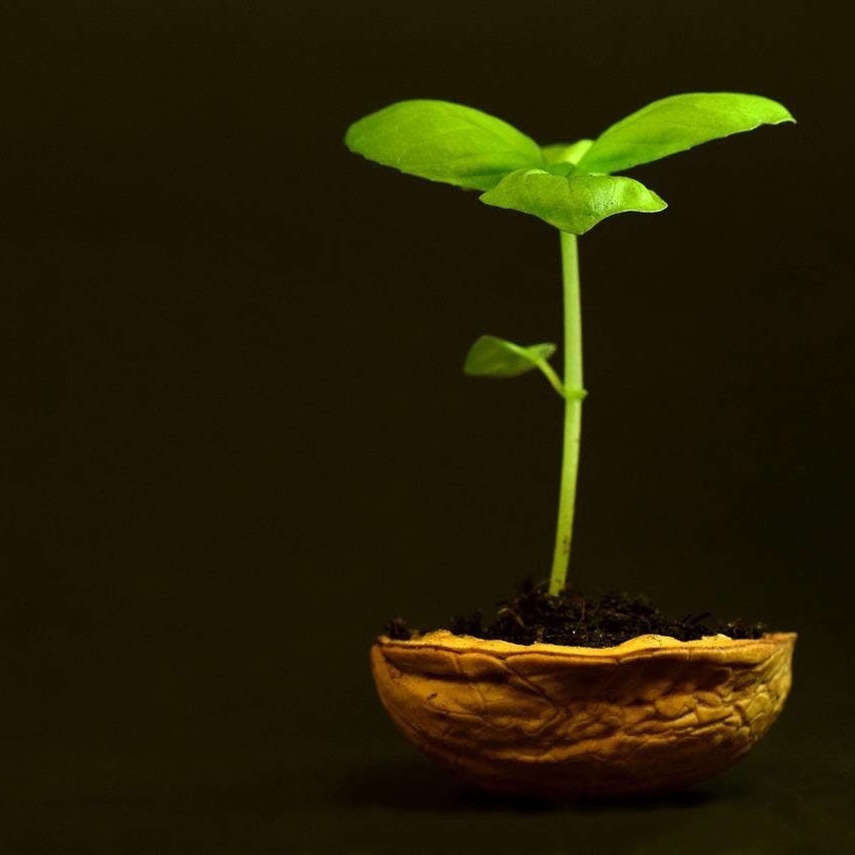 Nature and Science 4 Kids