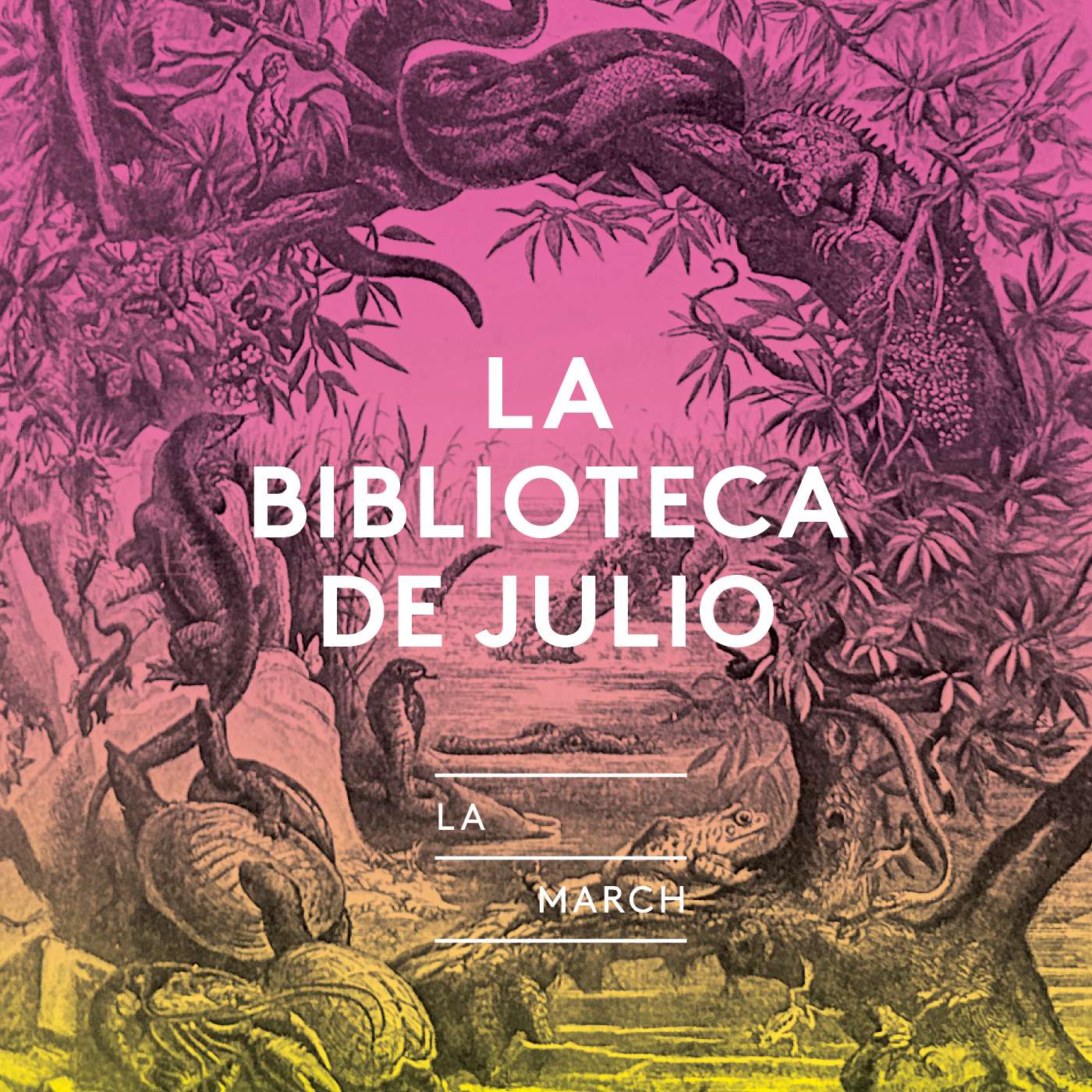 La biblioteca de Julio