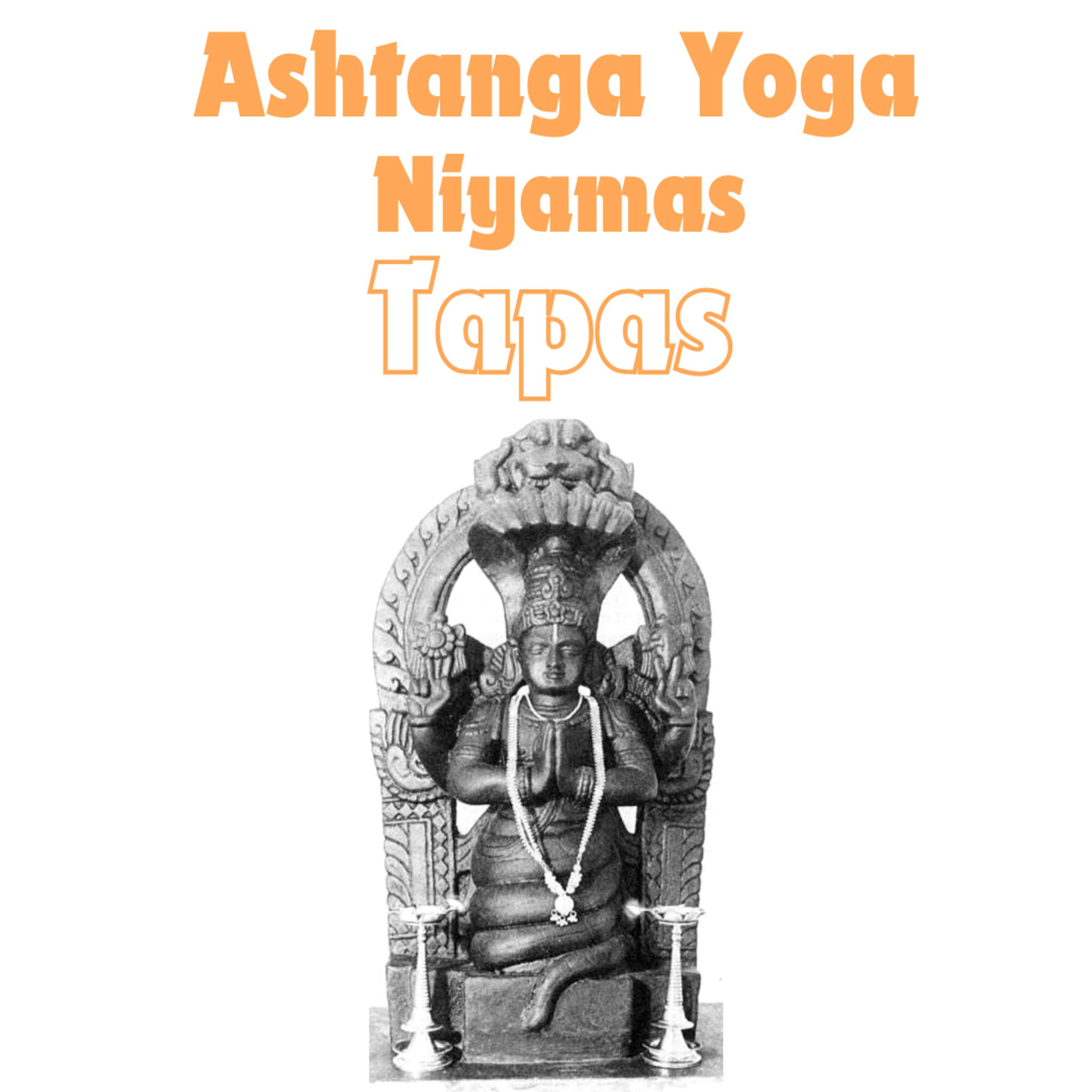 Yoga Connection With Zorananda