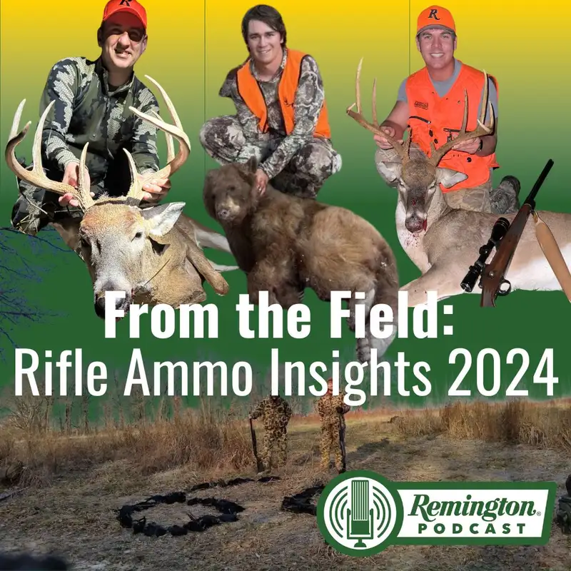 From the Field: Rifle Ammo Insights 2024