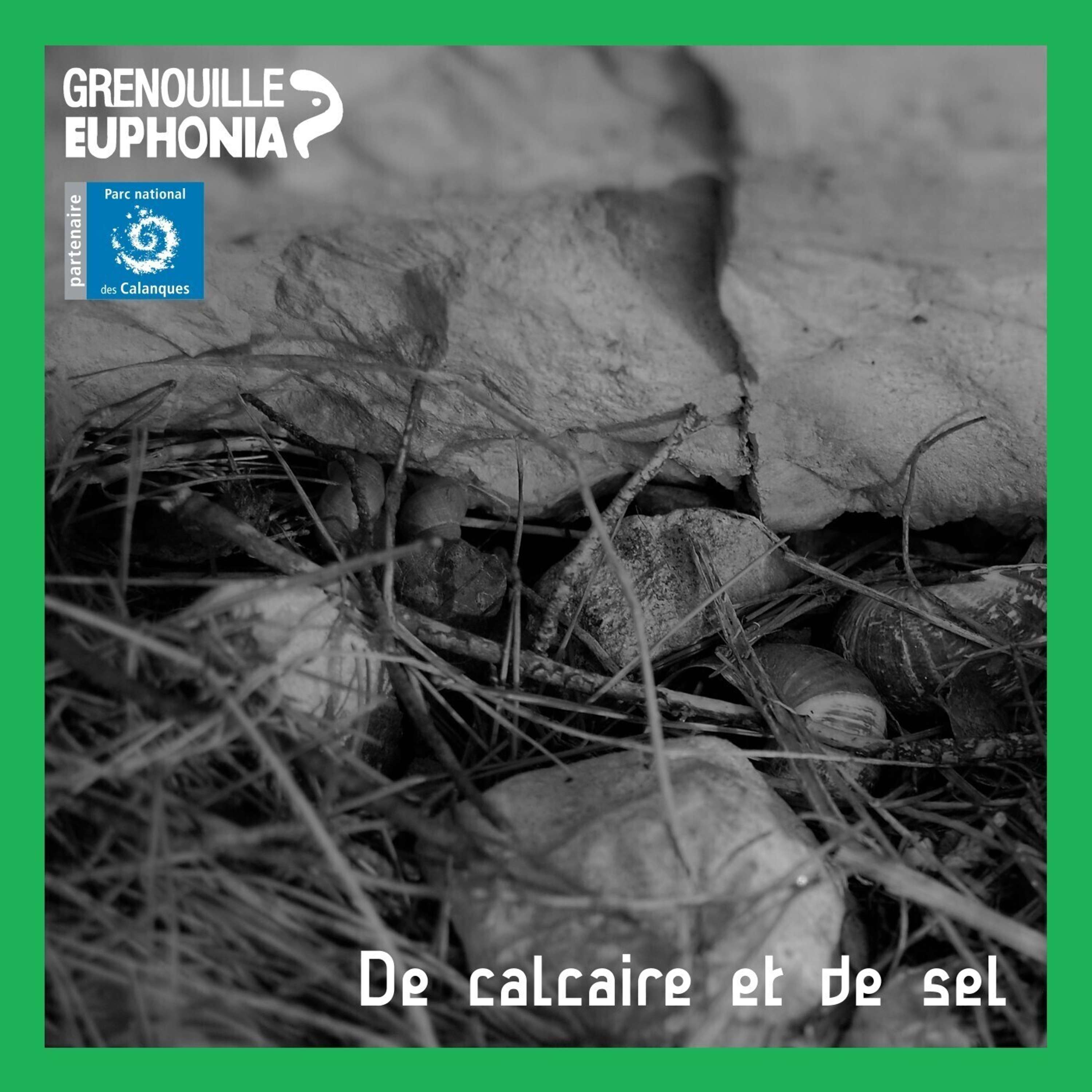 De calcaire et de sel - Radio Grenouille et le Parc National des Calanques