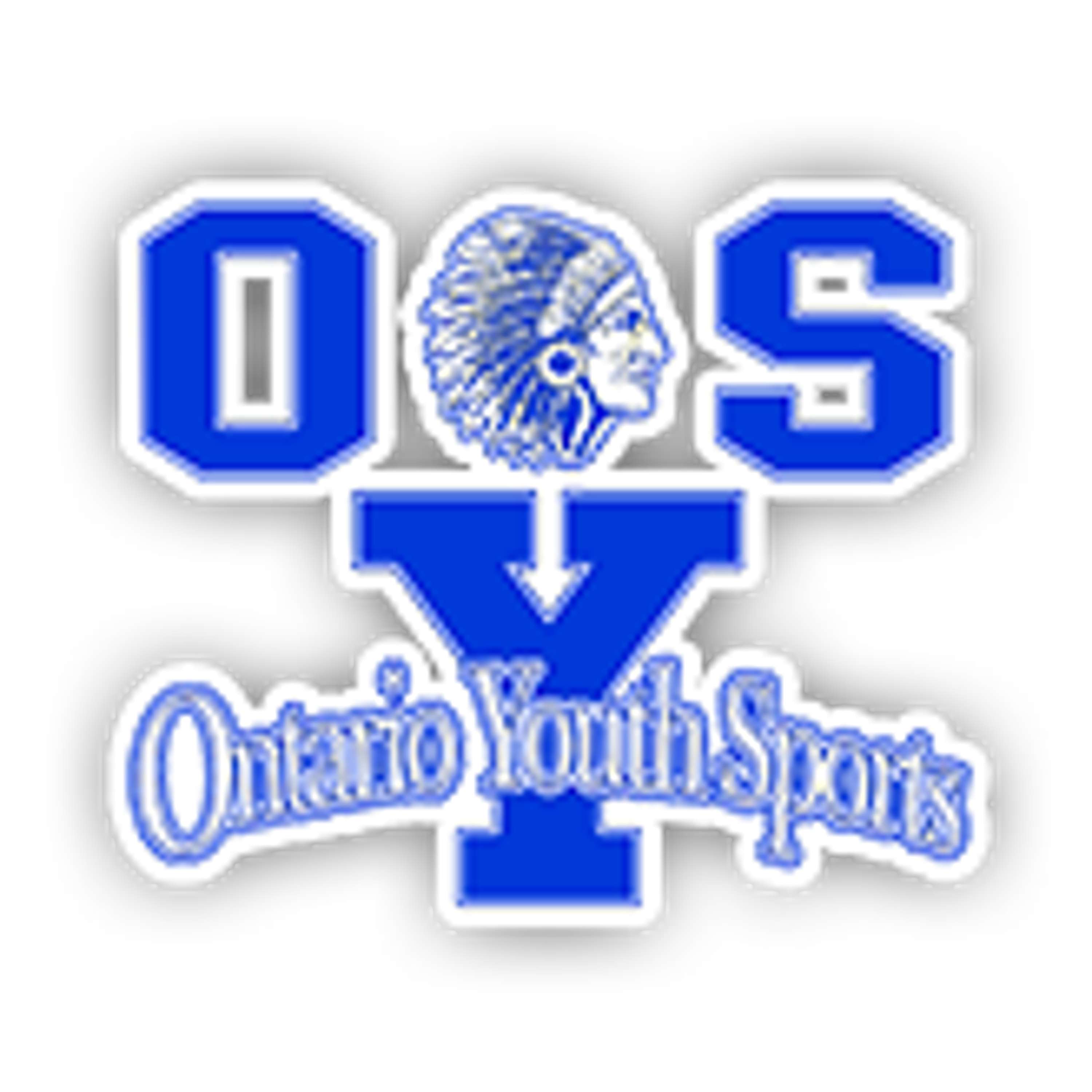 Ontario Youth Sports: Source Brand Solutions Small Business Spotlight podcast artwork