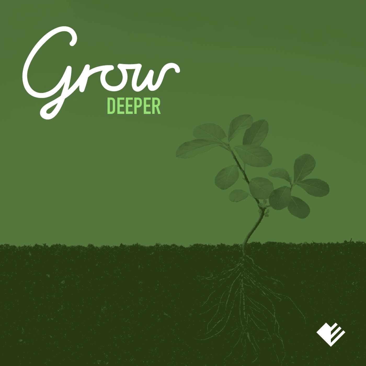 Grow Deeper - Romans