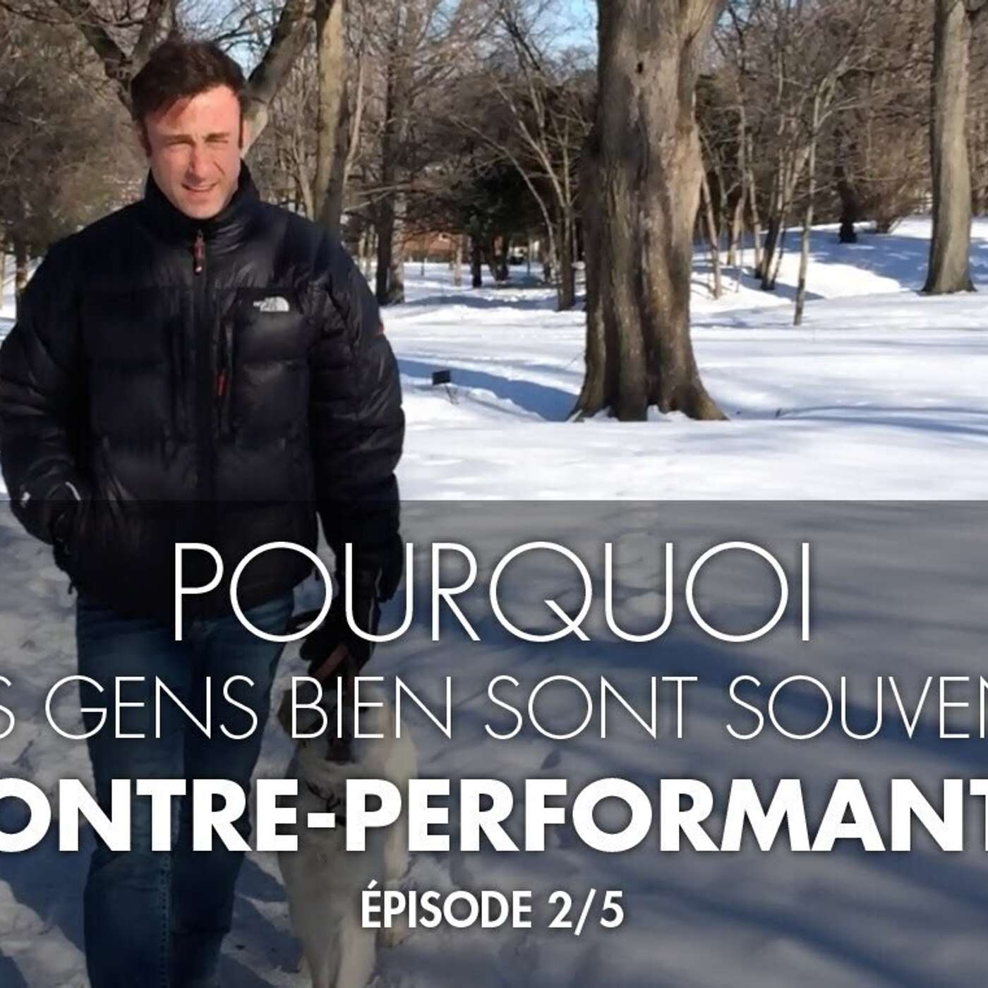 Le Podcast de Franck Nicolas