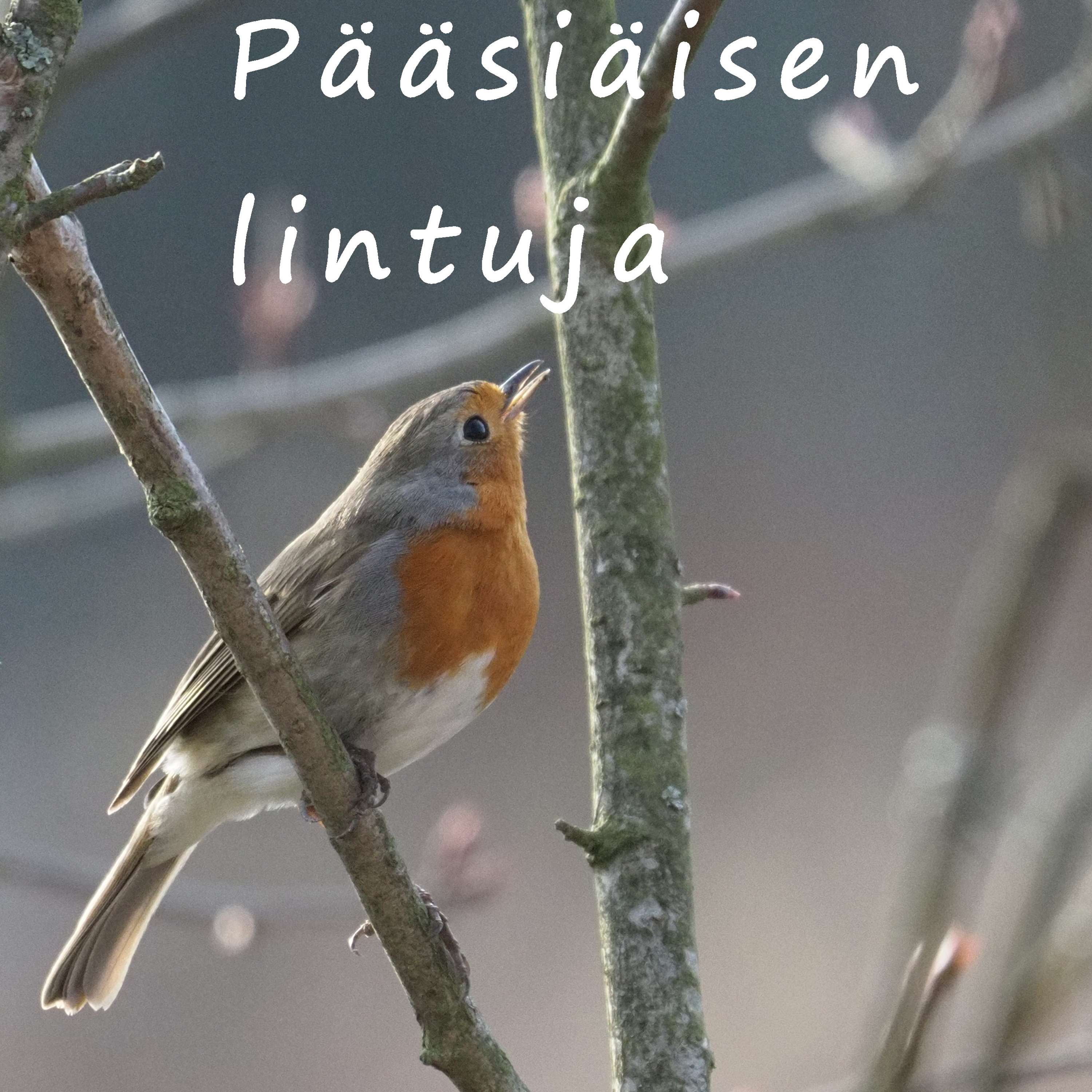 Hyvän toivon kappeli