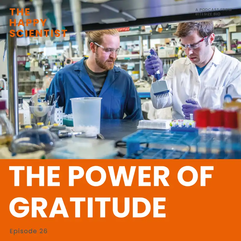 The Power of Gratitude