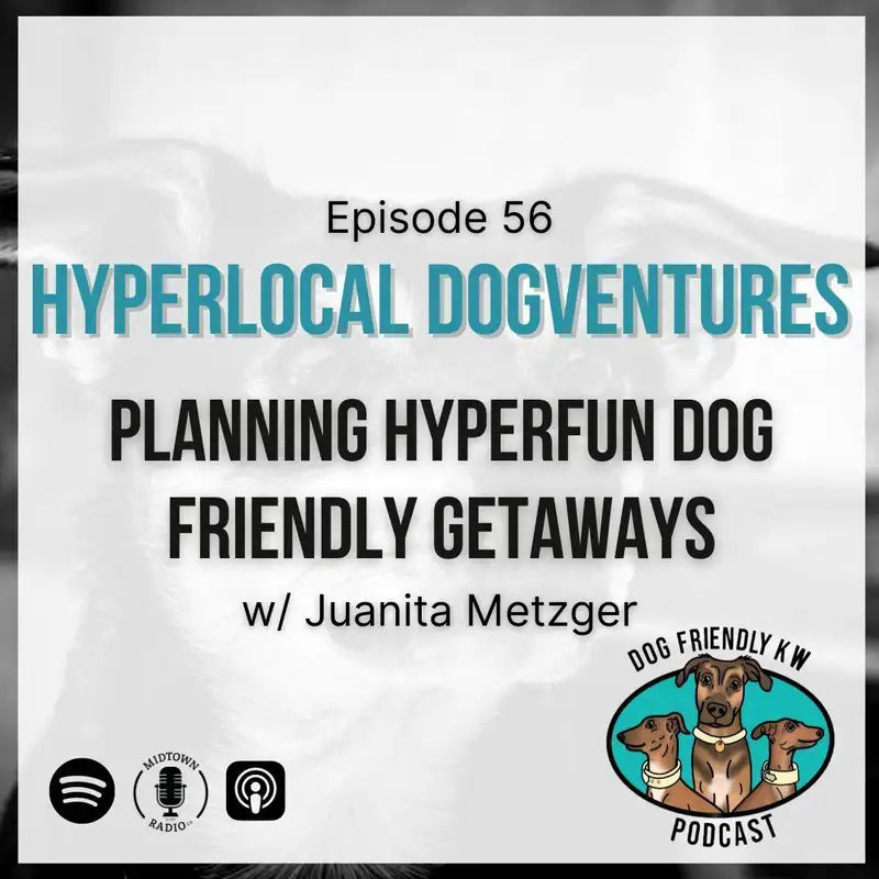 Lightening Round: Juanita Metzger shares HER FAVOURITE KW coffee shop, urban park, and MORE!