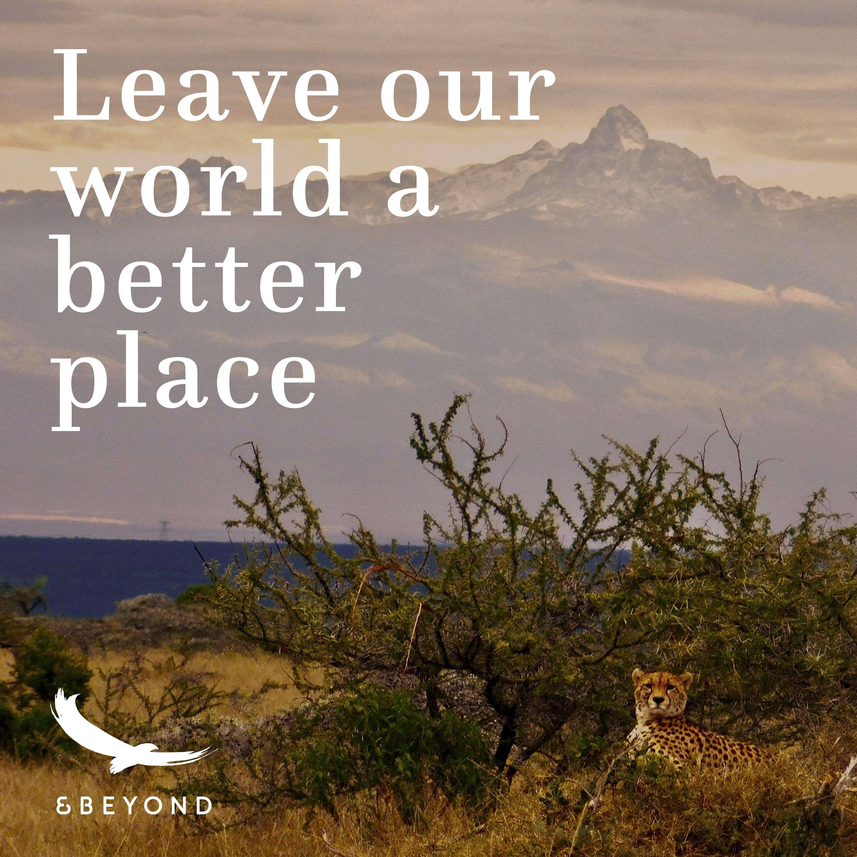 Better World