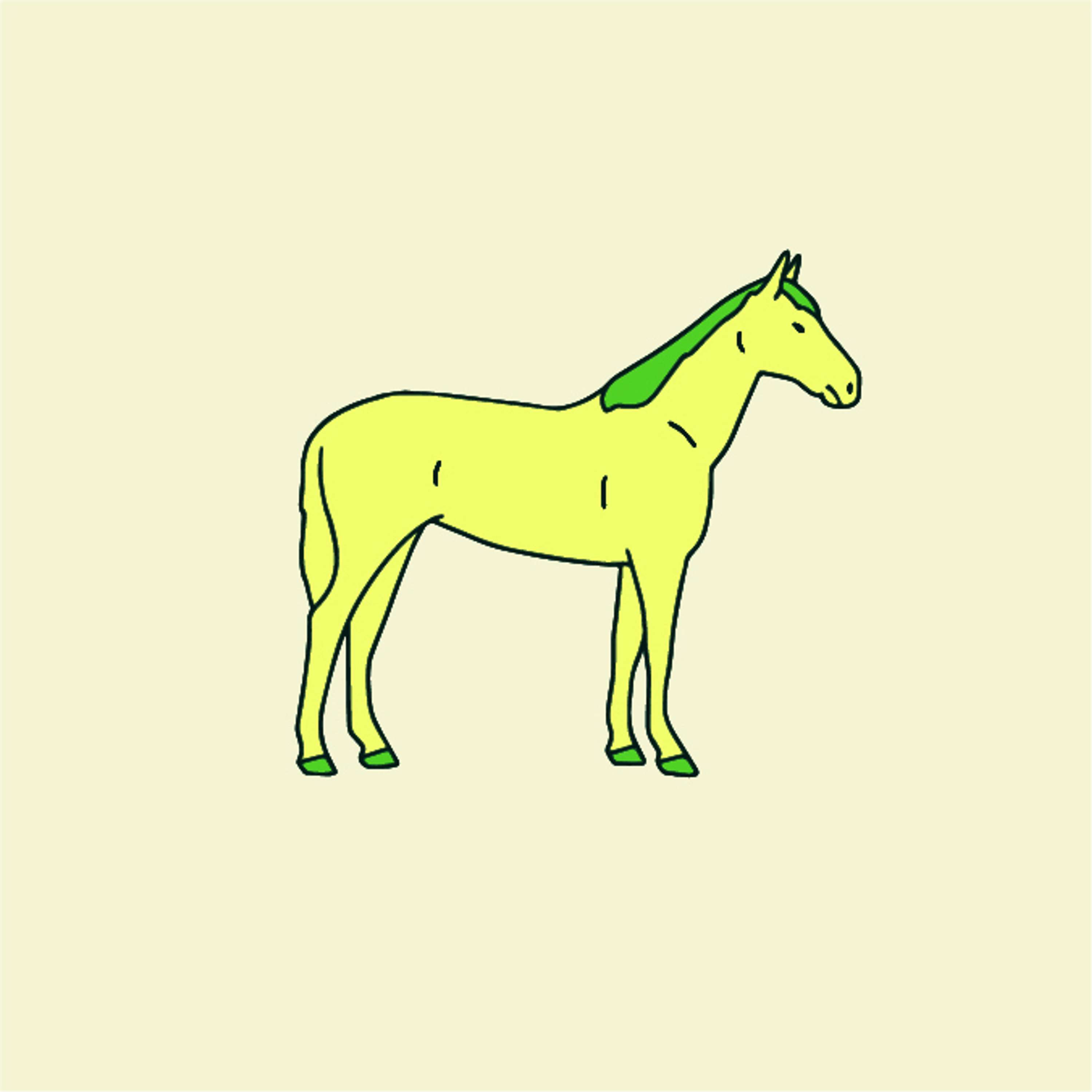 הזינוק/ נעם פרתום הזינוק/ נעם פרתום