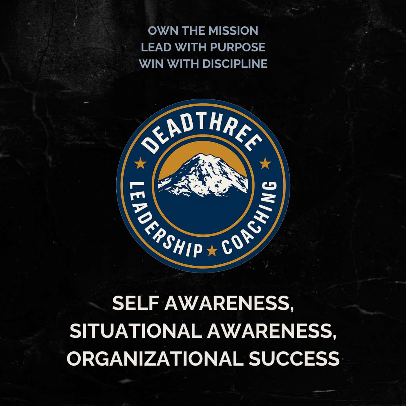 Self Awareness, Situational Awareness, Organizational Success