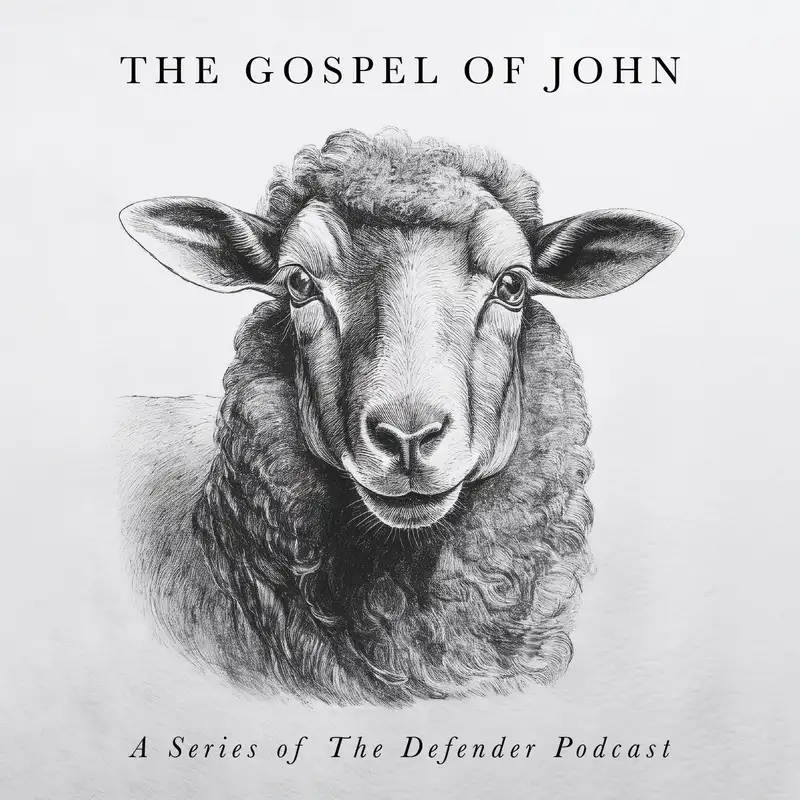 John 10:1-21 - The Good Shepherd