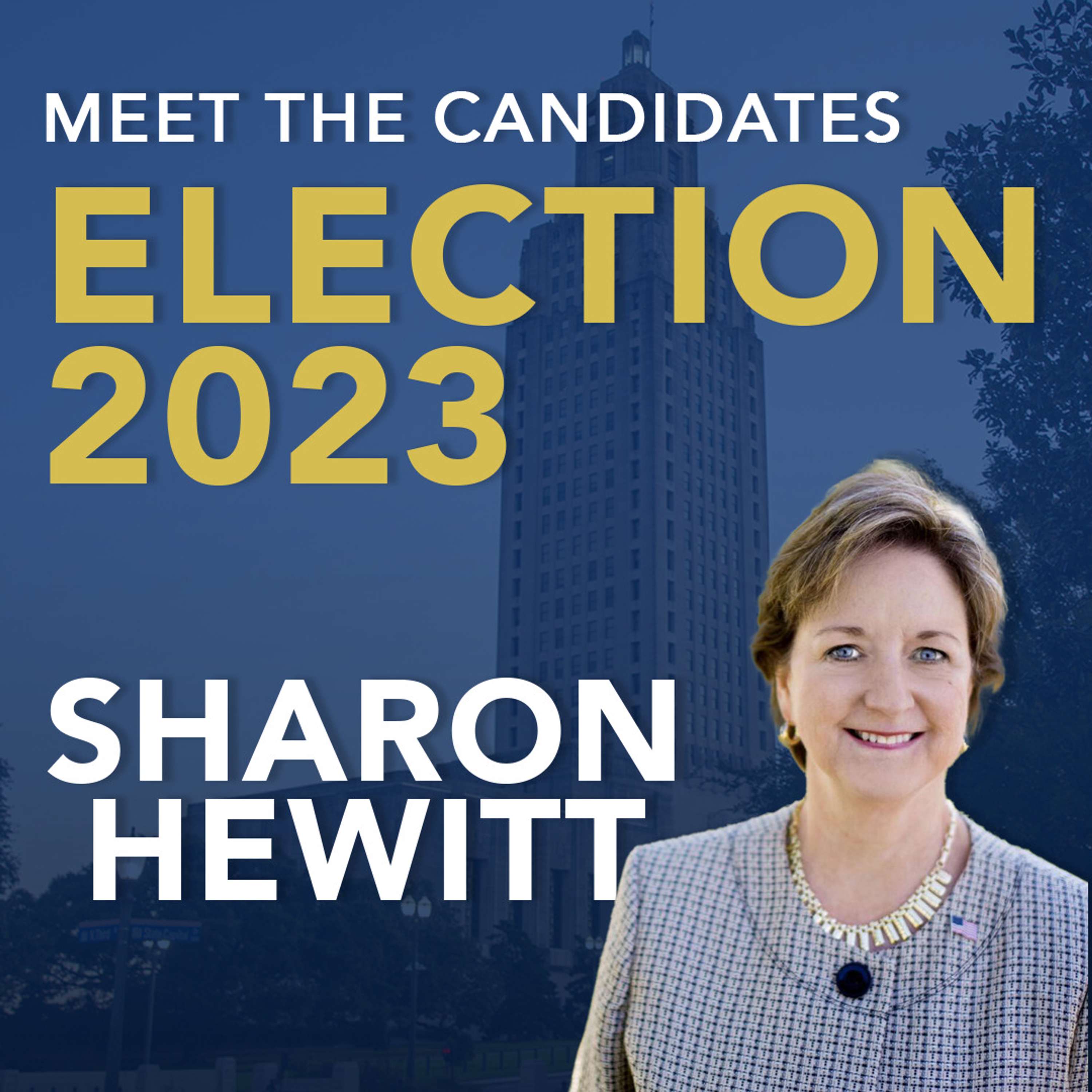 Louisiana Gubernatorial Candidate: Sharon Hewitt