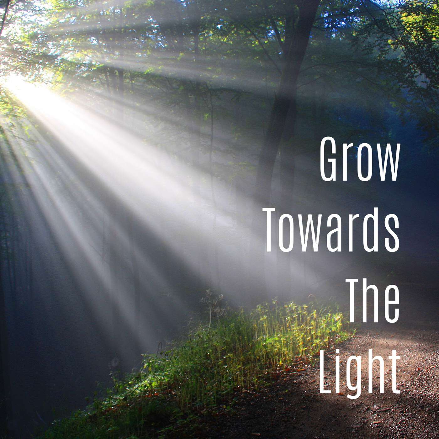 Grow Towards The Light
