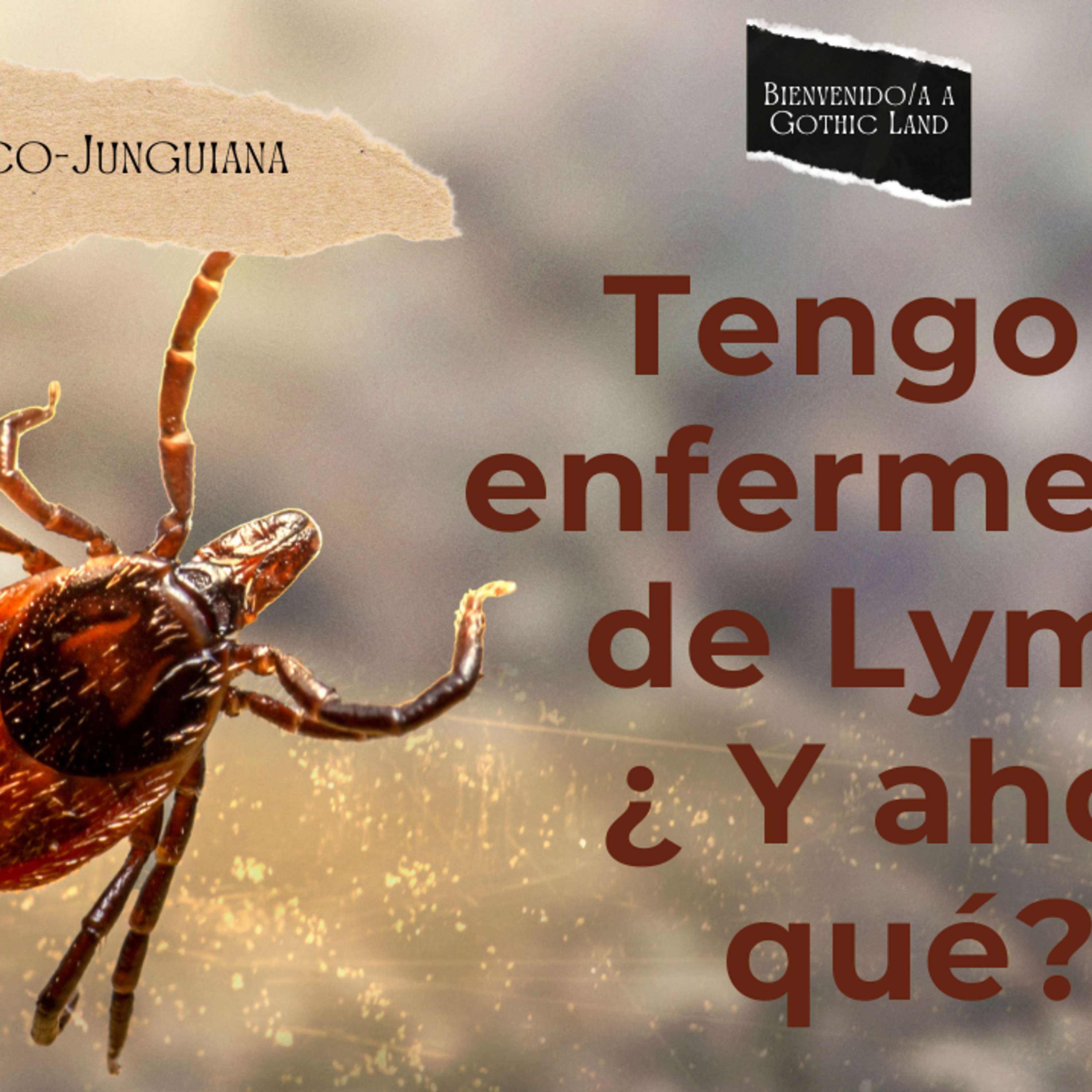 Bienvenido/a a Gothic Land