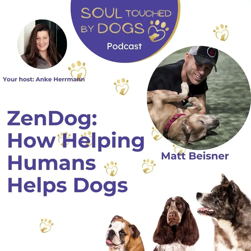 Matt Beisner - ZenDog: How Helping Humans Helps Dogs