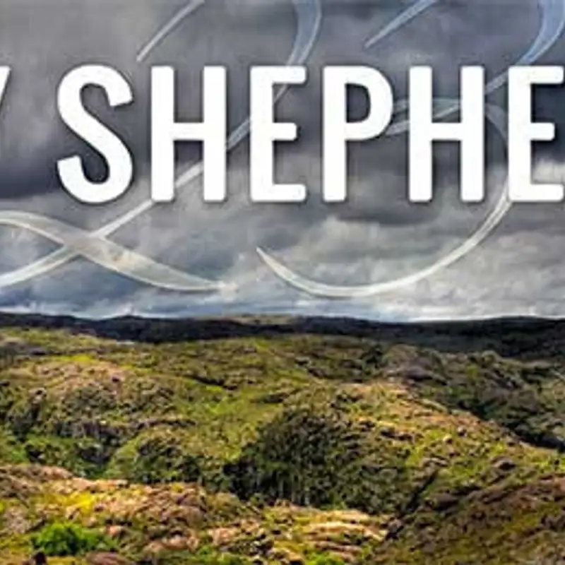 Restoration: God's Help for Hurting Sheep (Audio)