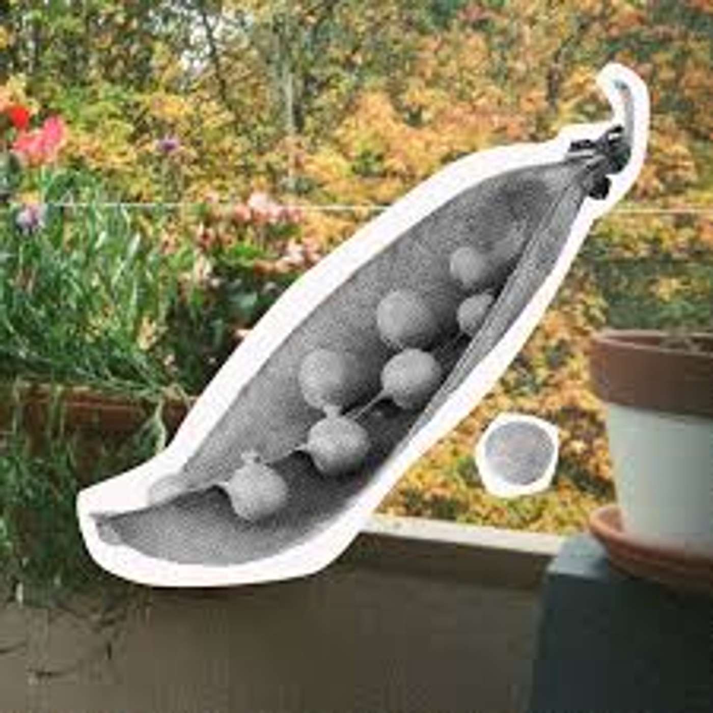 How to Grow a Little Food in the Big City How to Grow a Little Food in the Big City