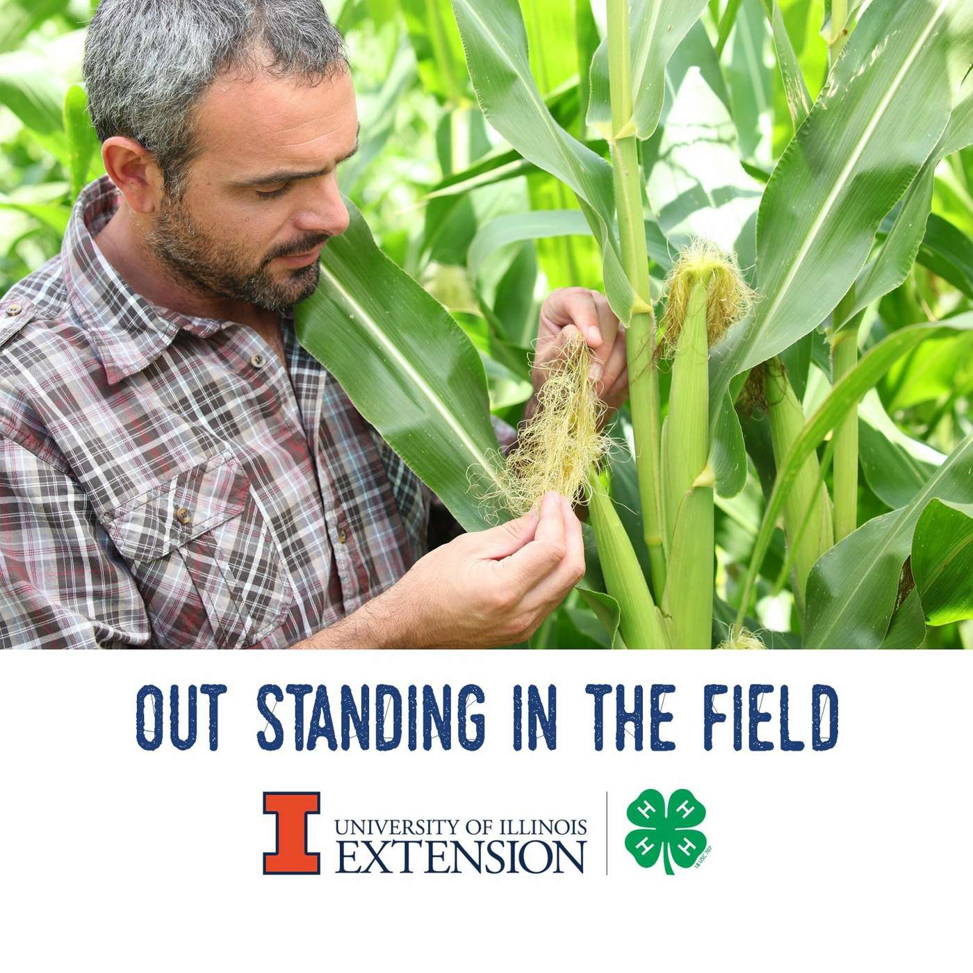 Out Standing in the Field