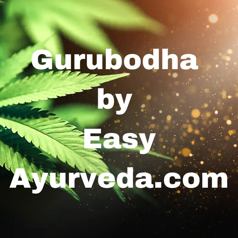 Gurubodha 51: Cannabis in Ayurveda, Veda References, THC, Ayurvedic Medicines, CBD Oil, Pain Relief