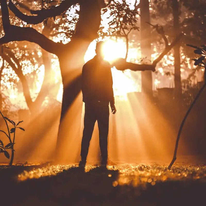 BLOG | Afflicted, But Not Crushed