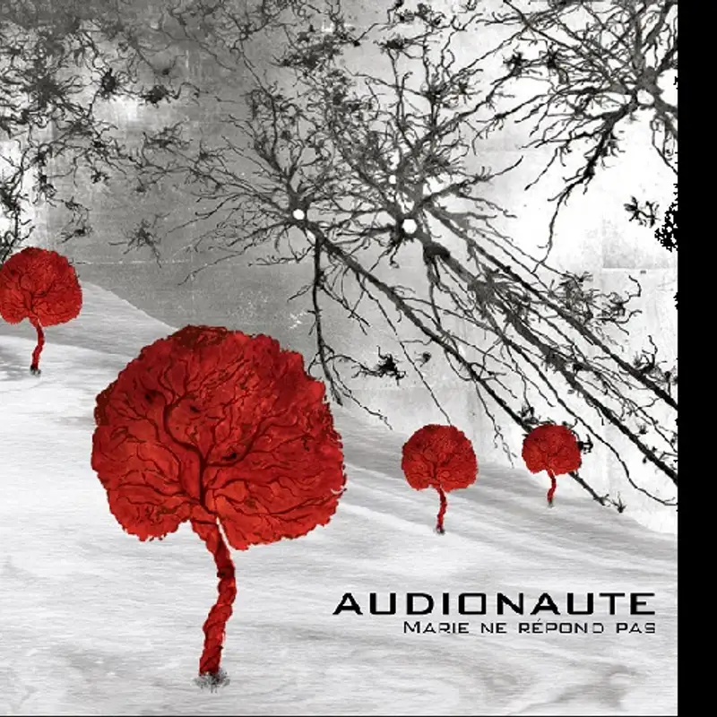Du rock cerebral à nul autre pareil avec Audionaute