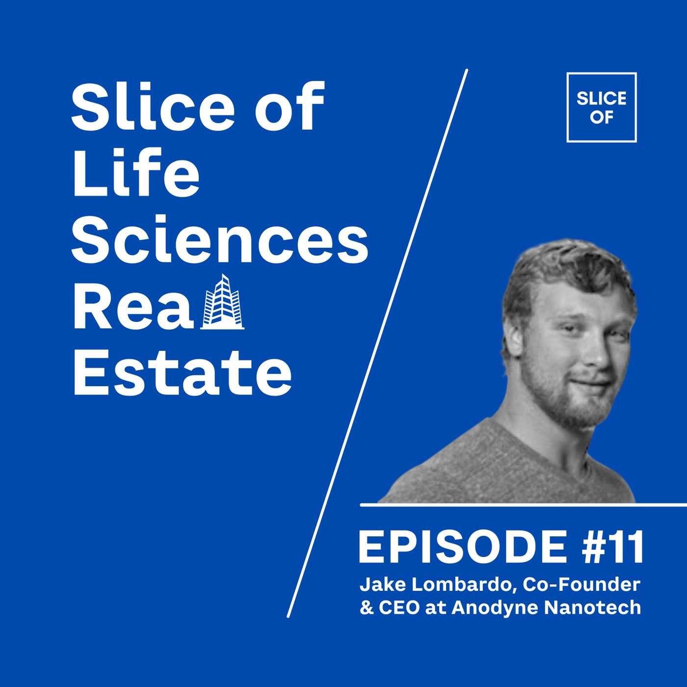 #11 - Jake Lombardo, Co-Founder & CEO at Anodyne Nanotech