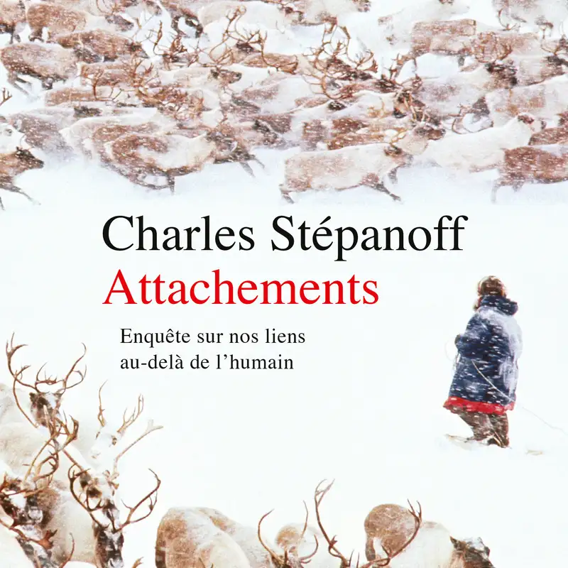 "Attachements. Enquête sur nos liens au-delà de l'humain" de Charles Stépanoff par Bérénice Gagne (1/2)