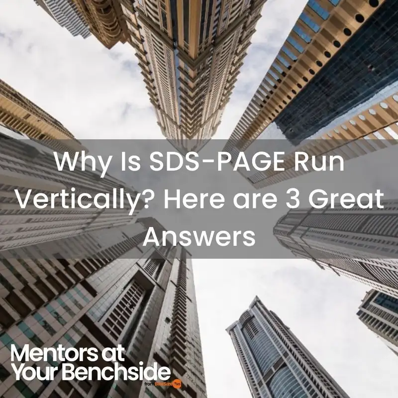 Why Is SDS-PAGE Run Vertically? Here are 3 Great Answers